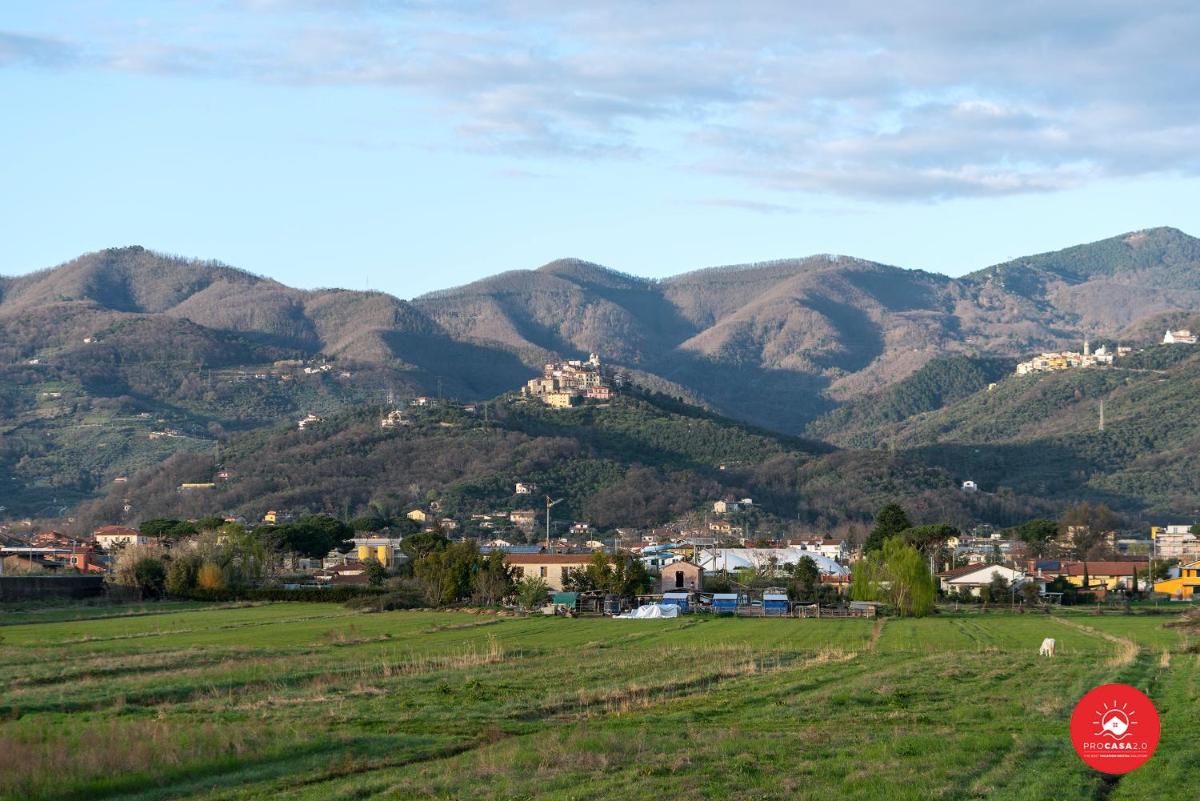 Fattoria Battilana photo 5