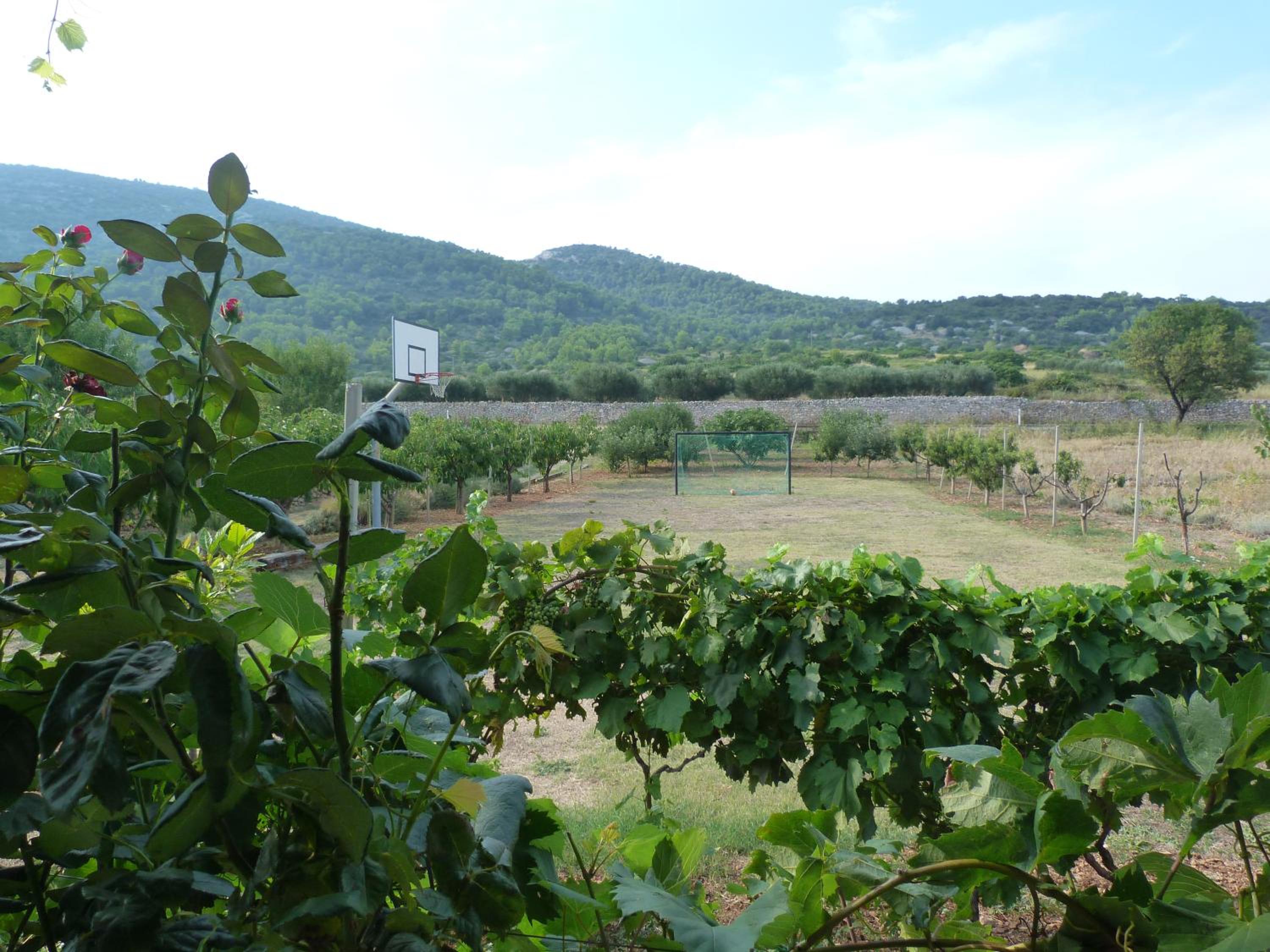 Country House Speedy view 3