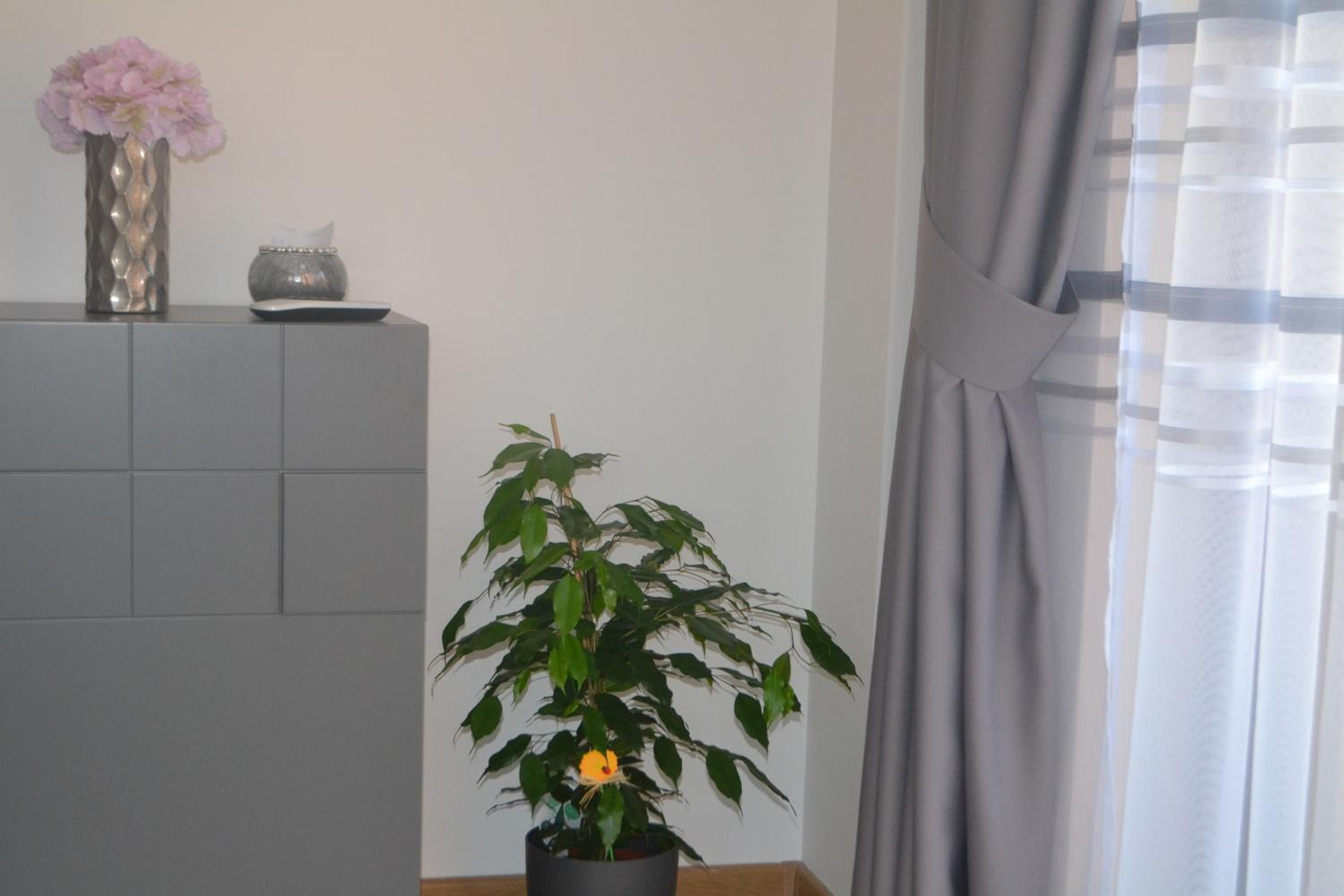 Photo 35