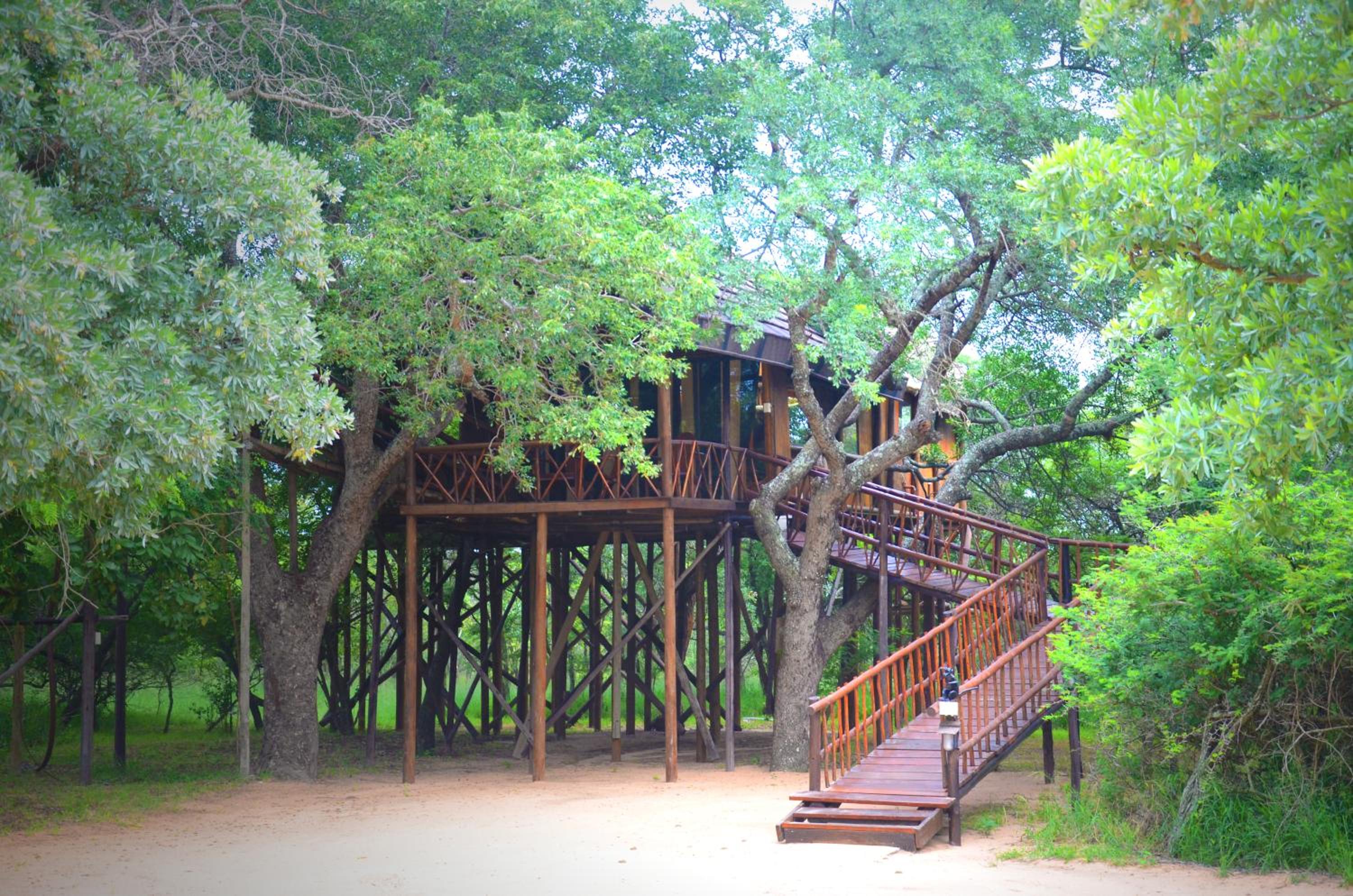 Pezulu Tree House Lodge