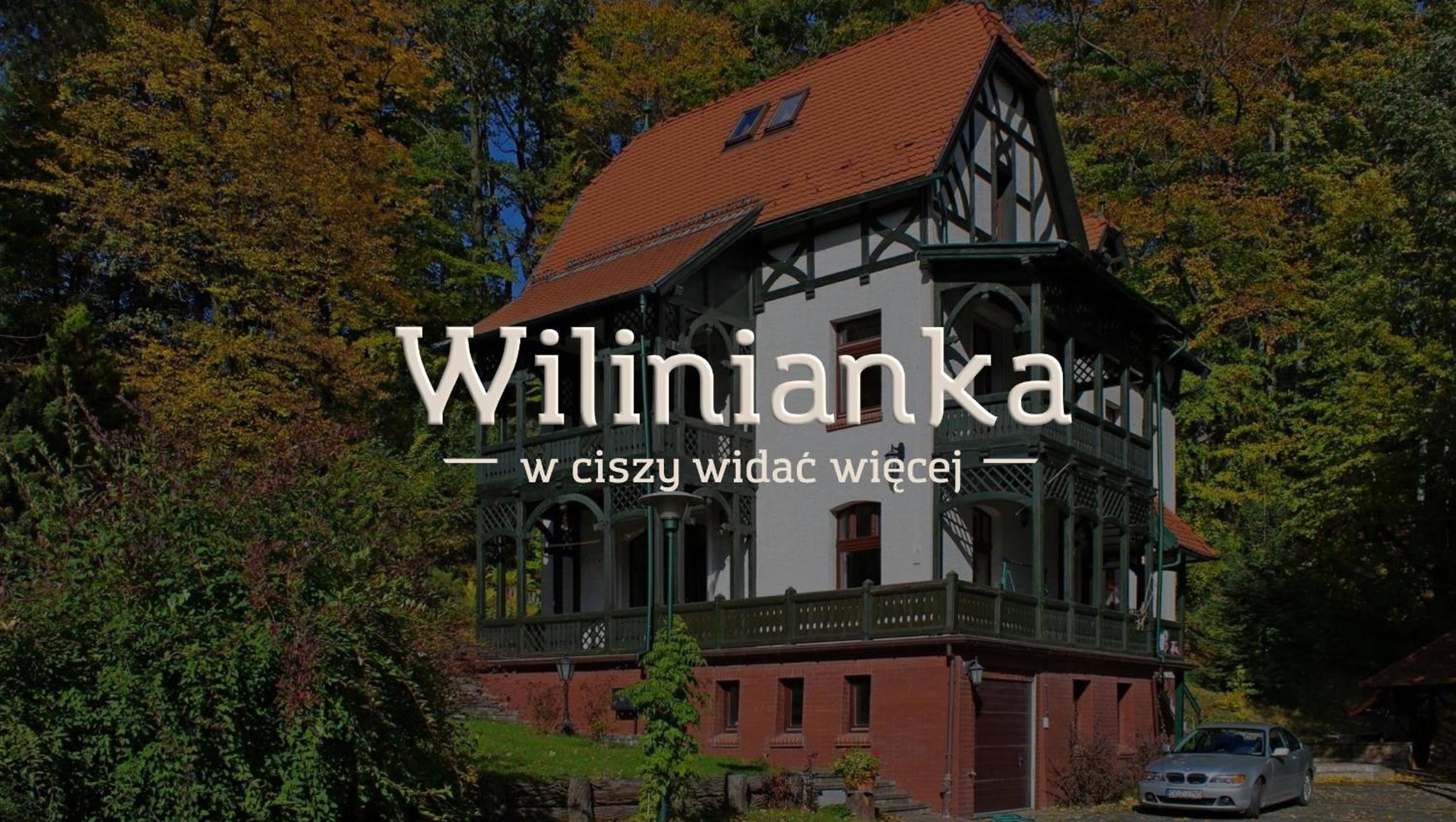 Wilinianka view 2