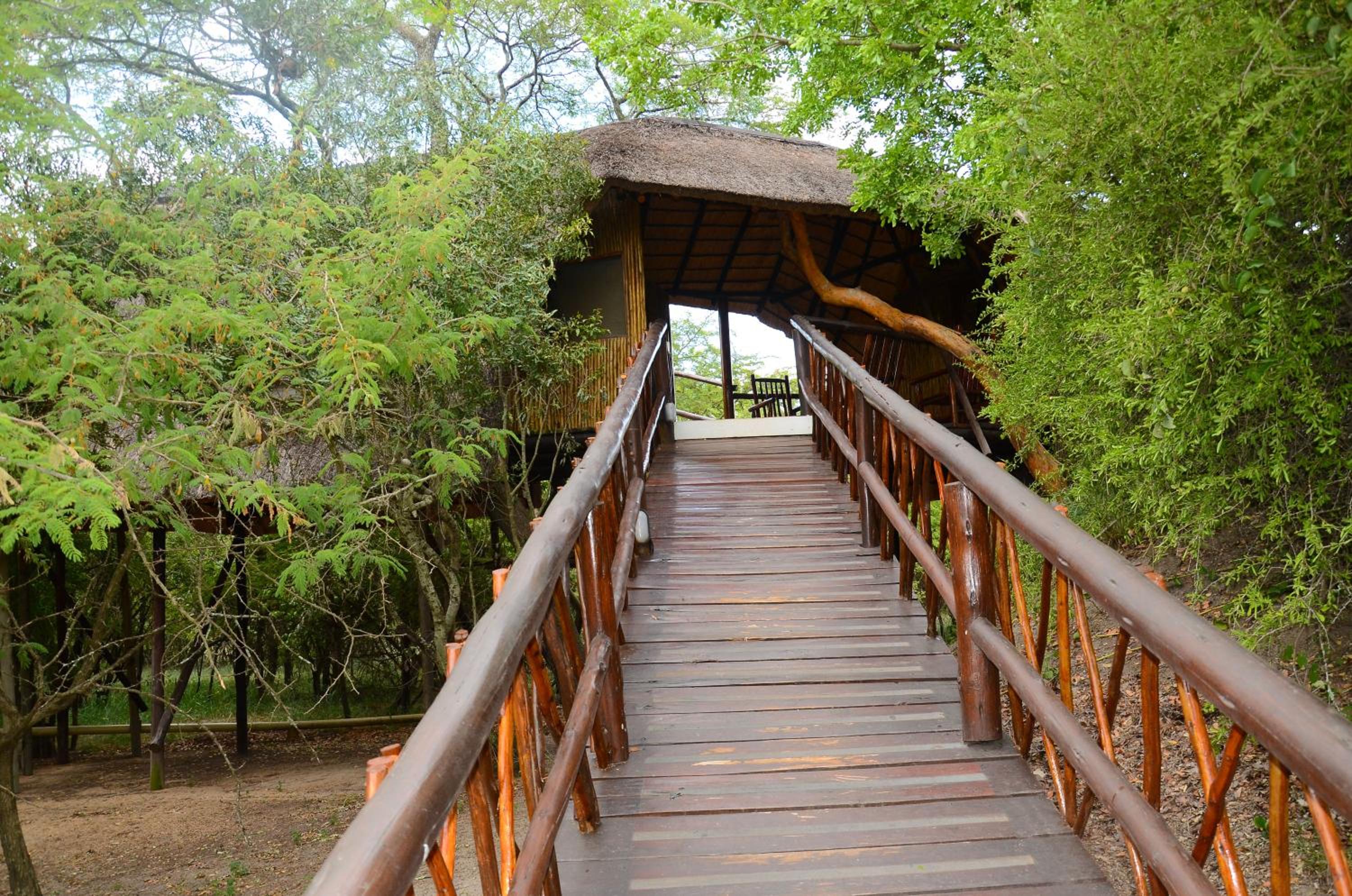 Pezulu Tree House Lodge