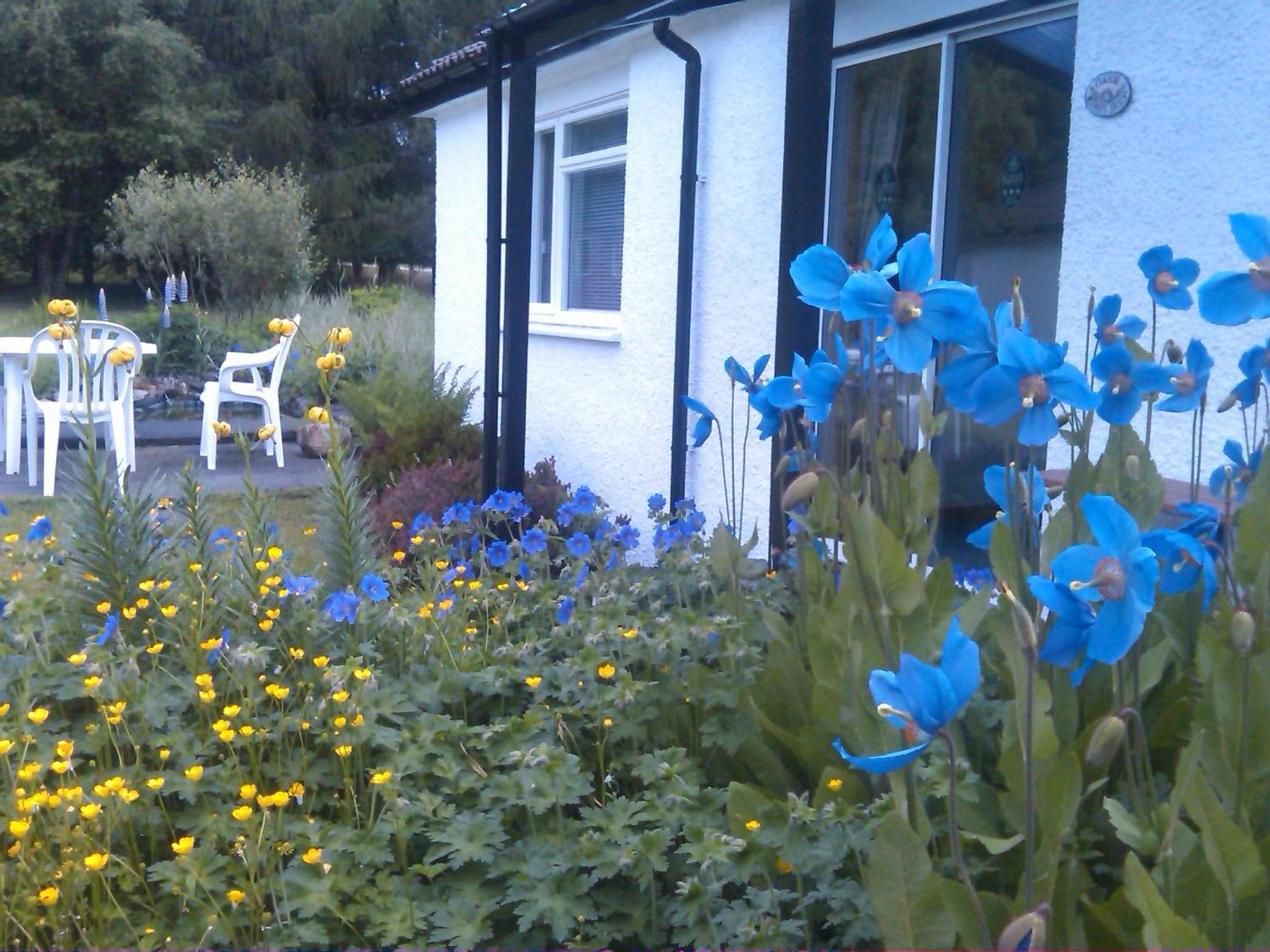Dalkell Cottages view 3