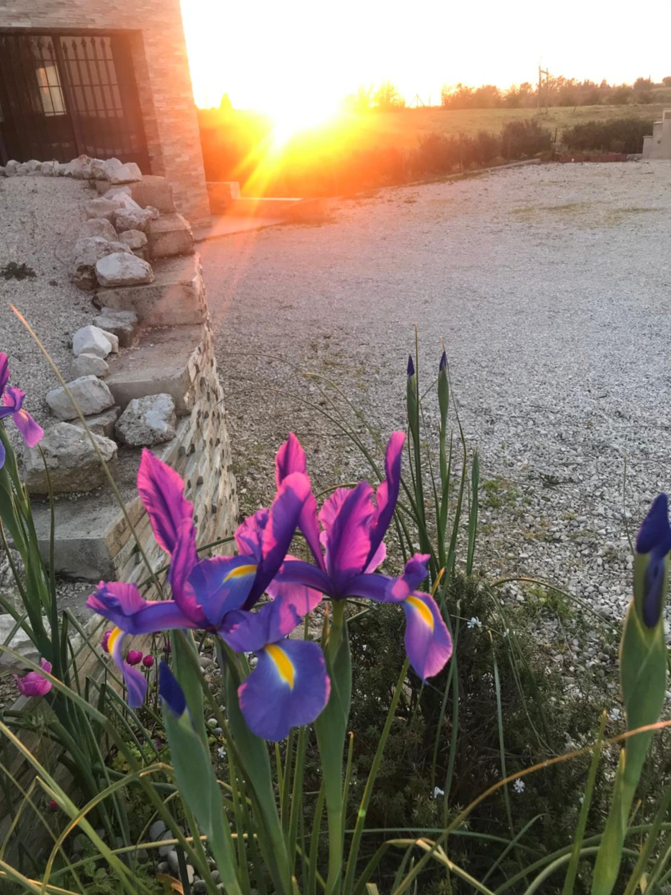 La collina delle fonti