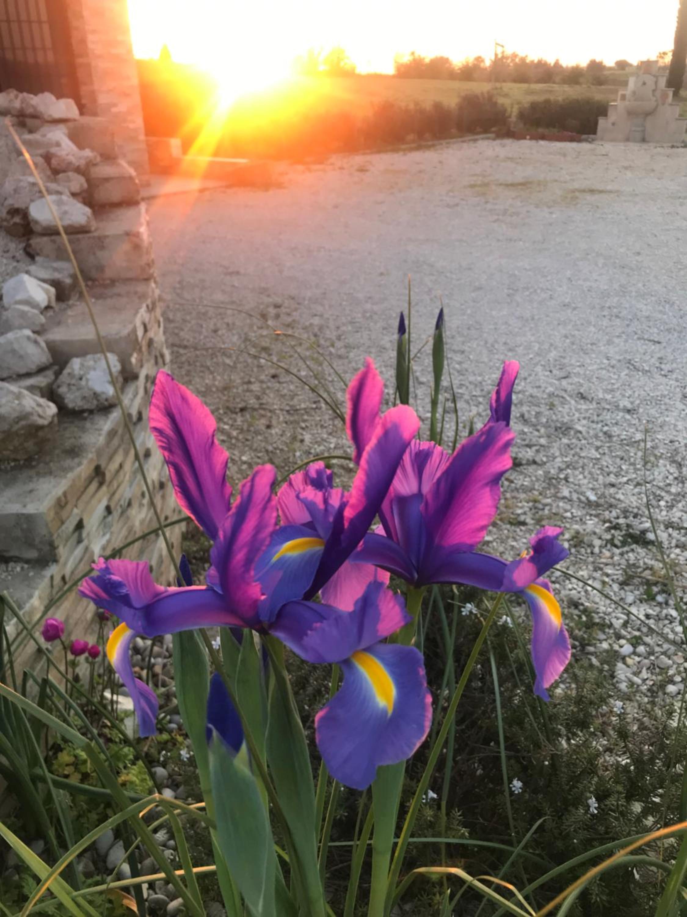 La collina delle fonti