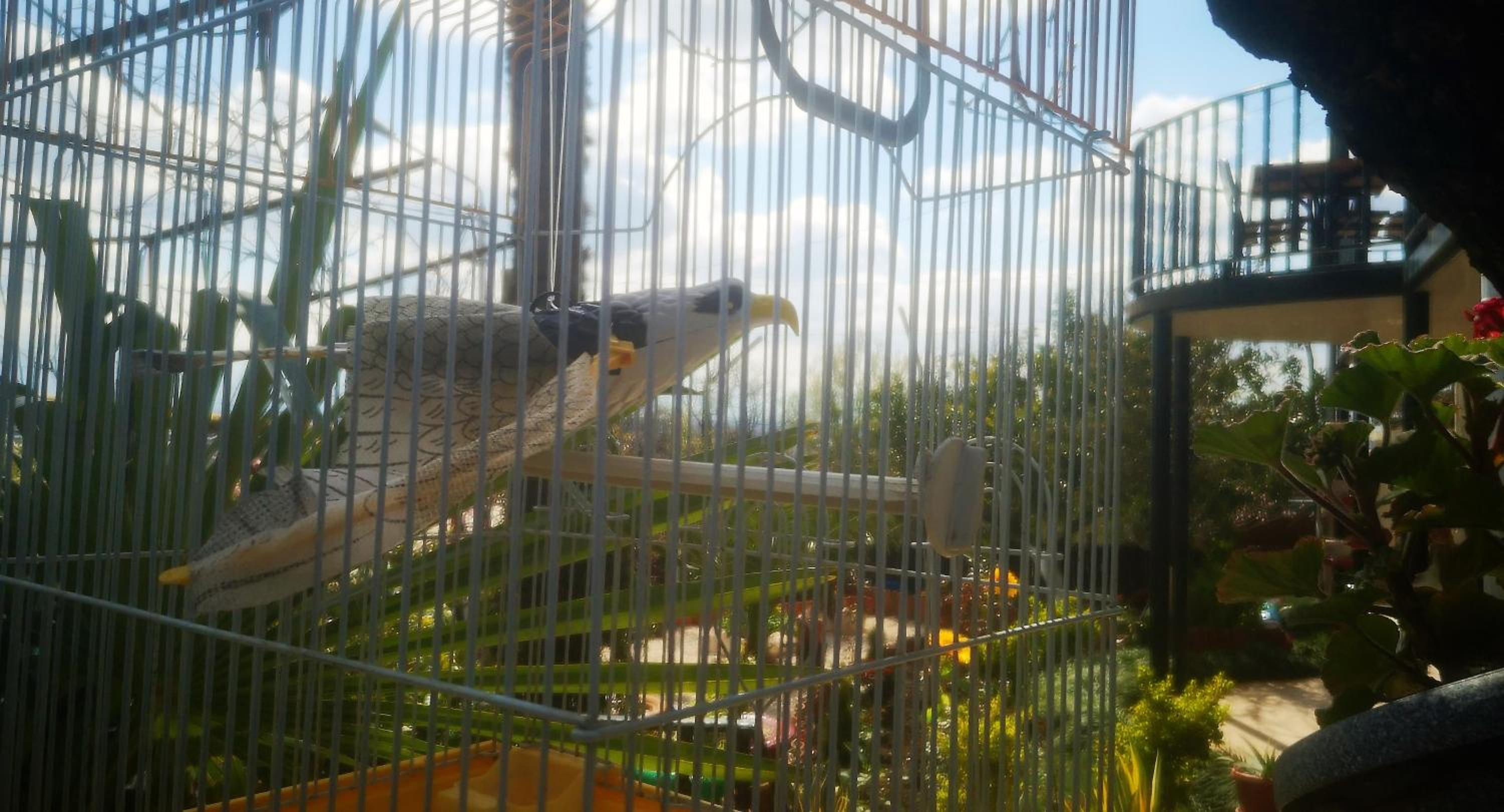 Photo 44