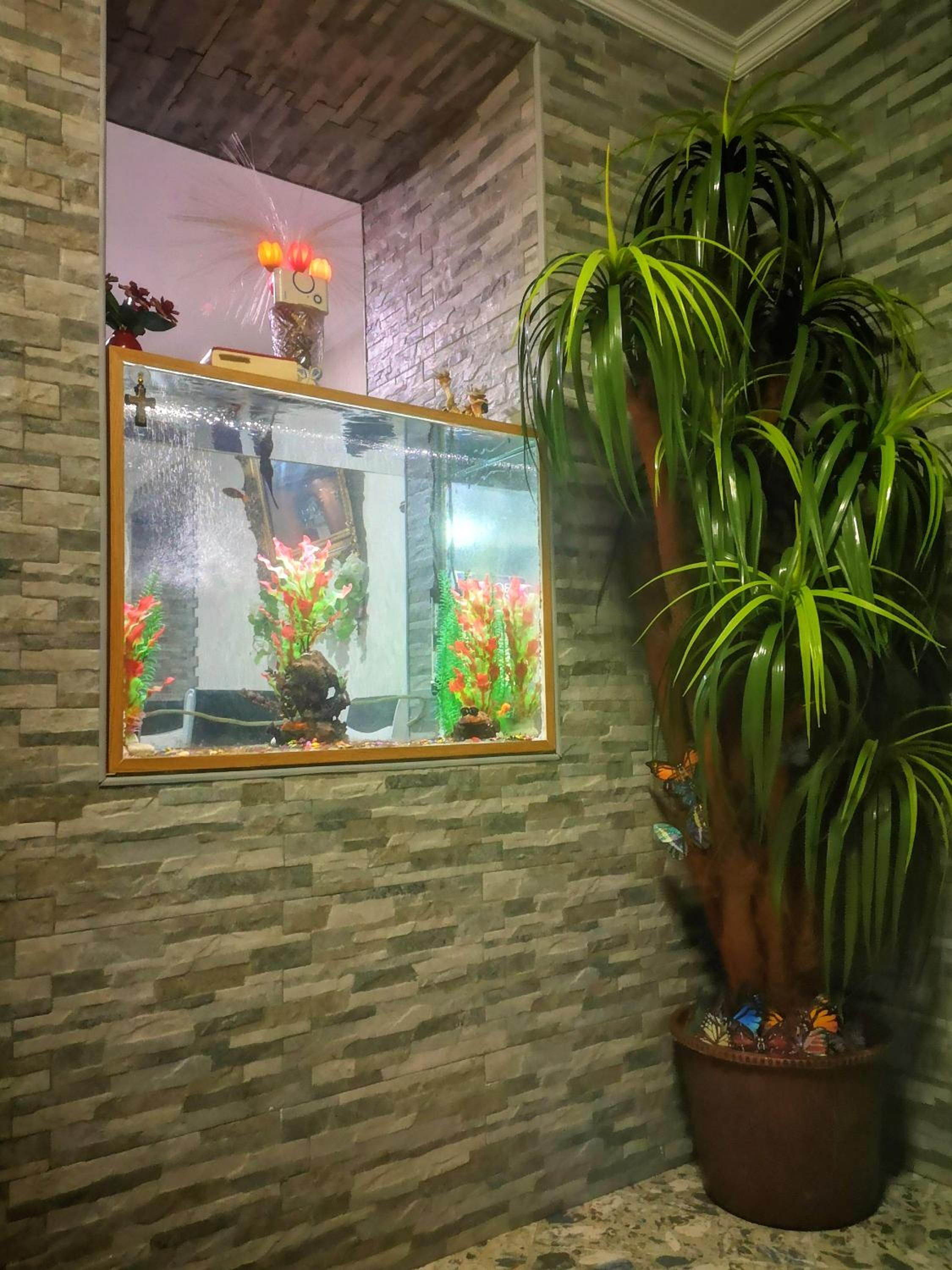 Hostel Sadu Kutaisi view 4