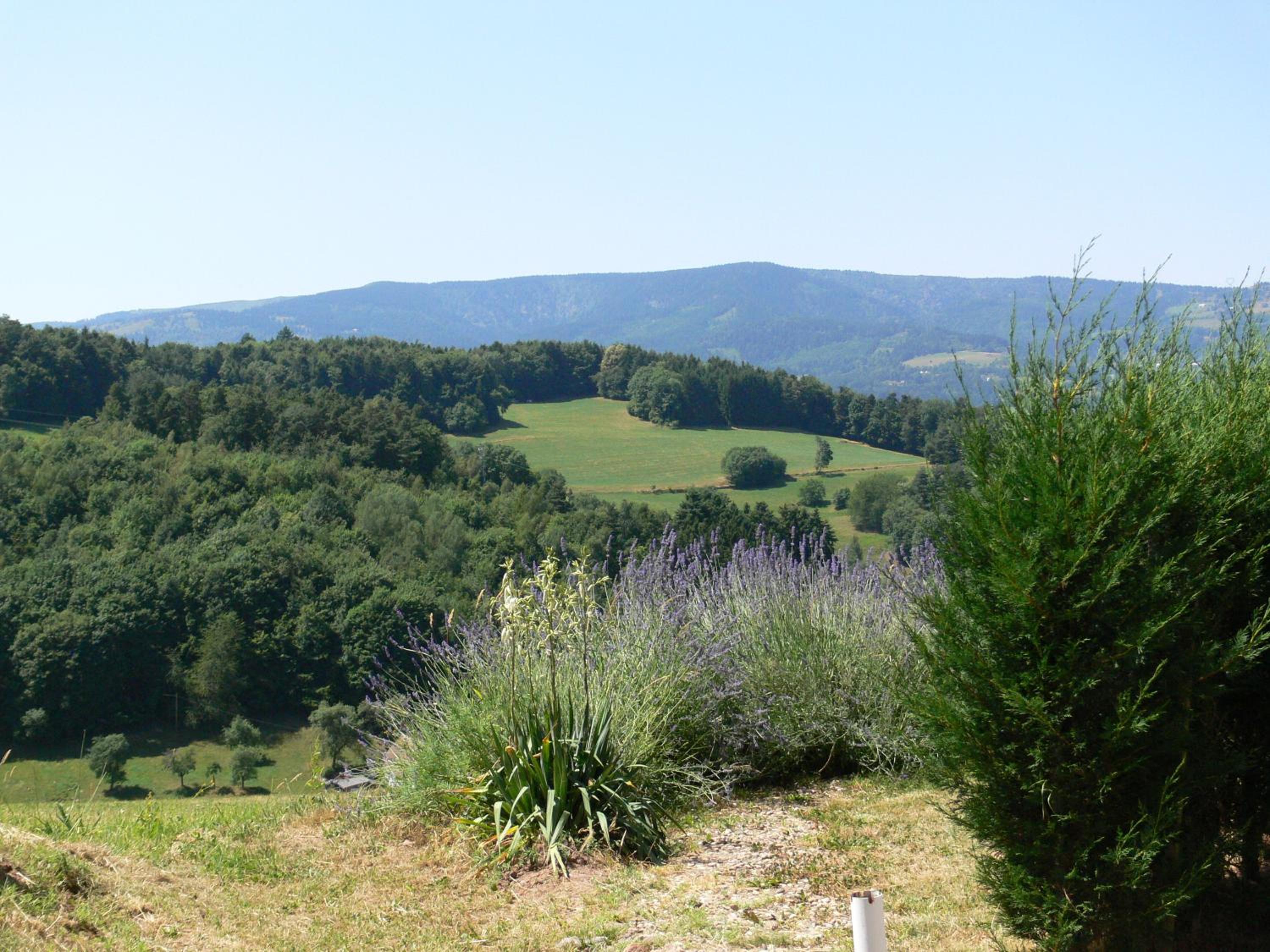 Gîte la Sapinière view 5