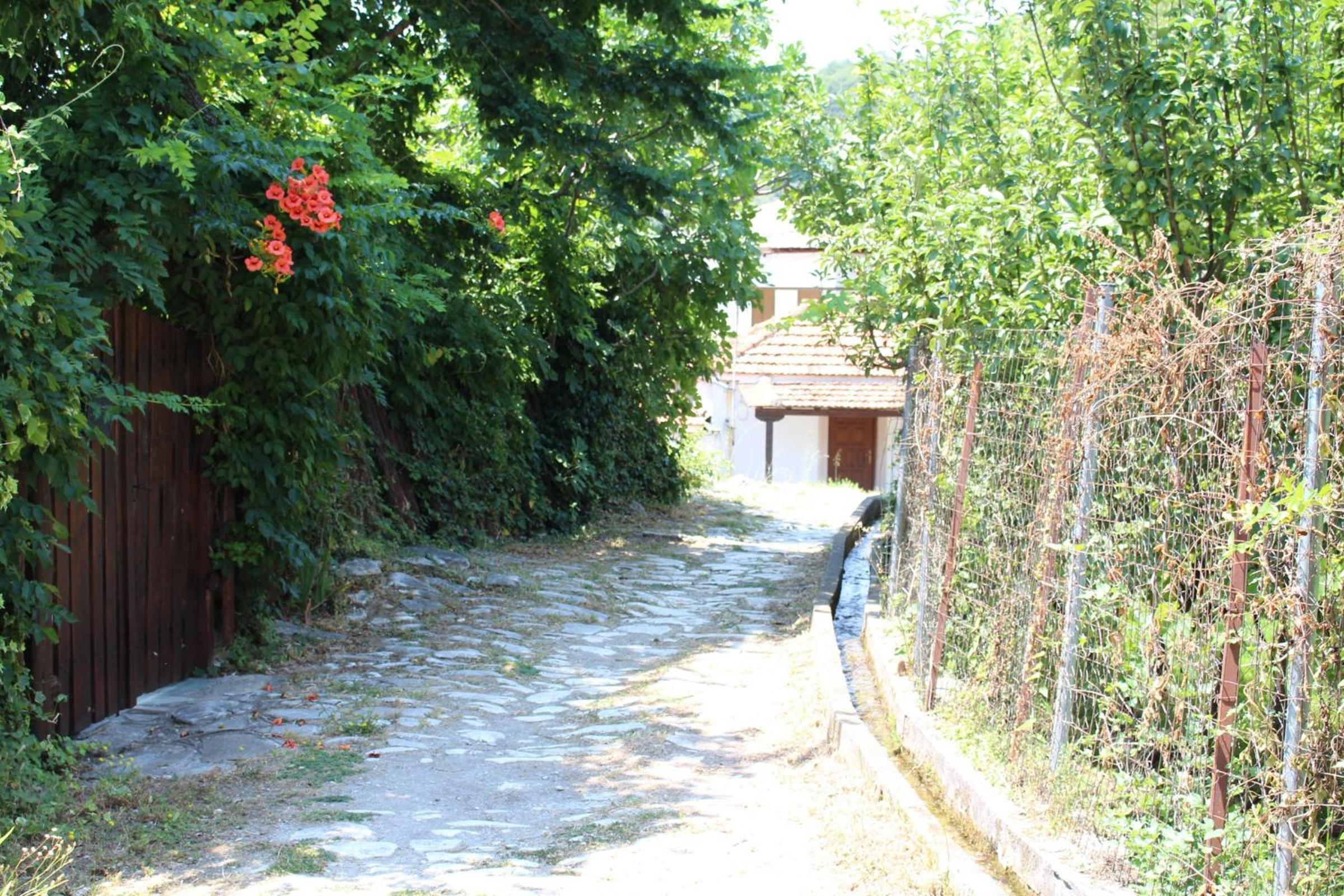 Photo 26