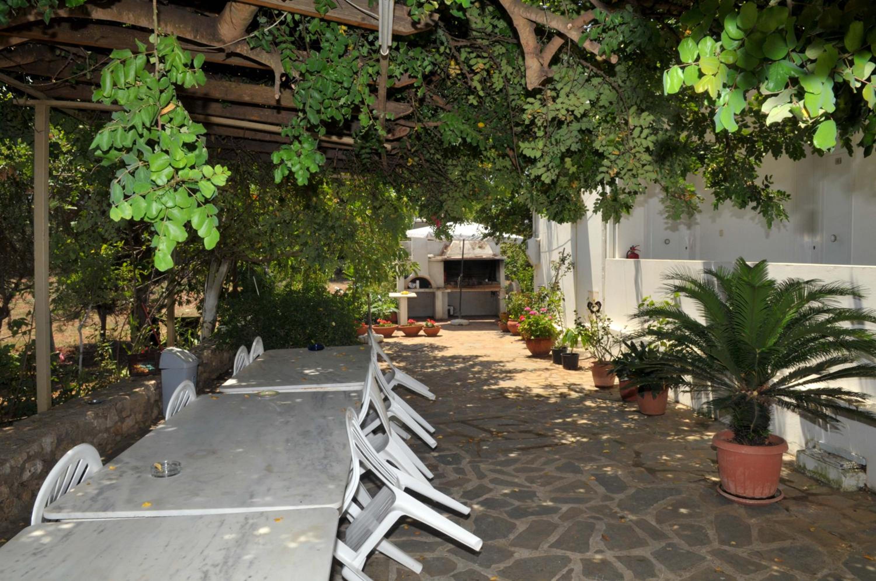 Photo 41
