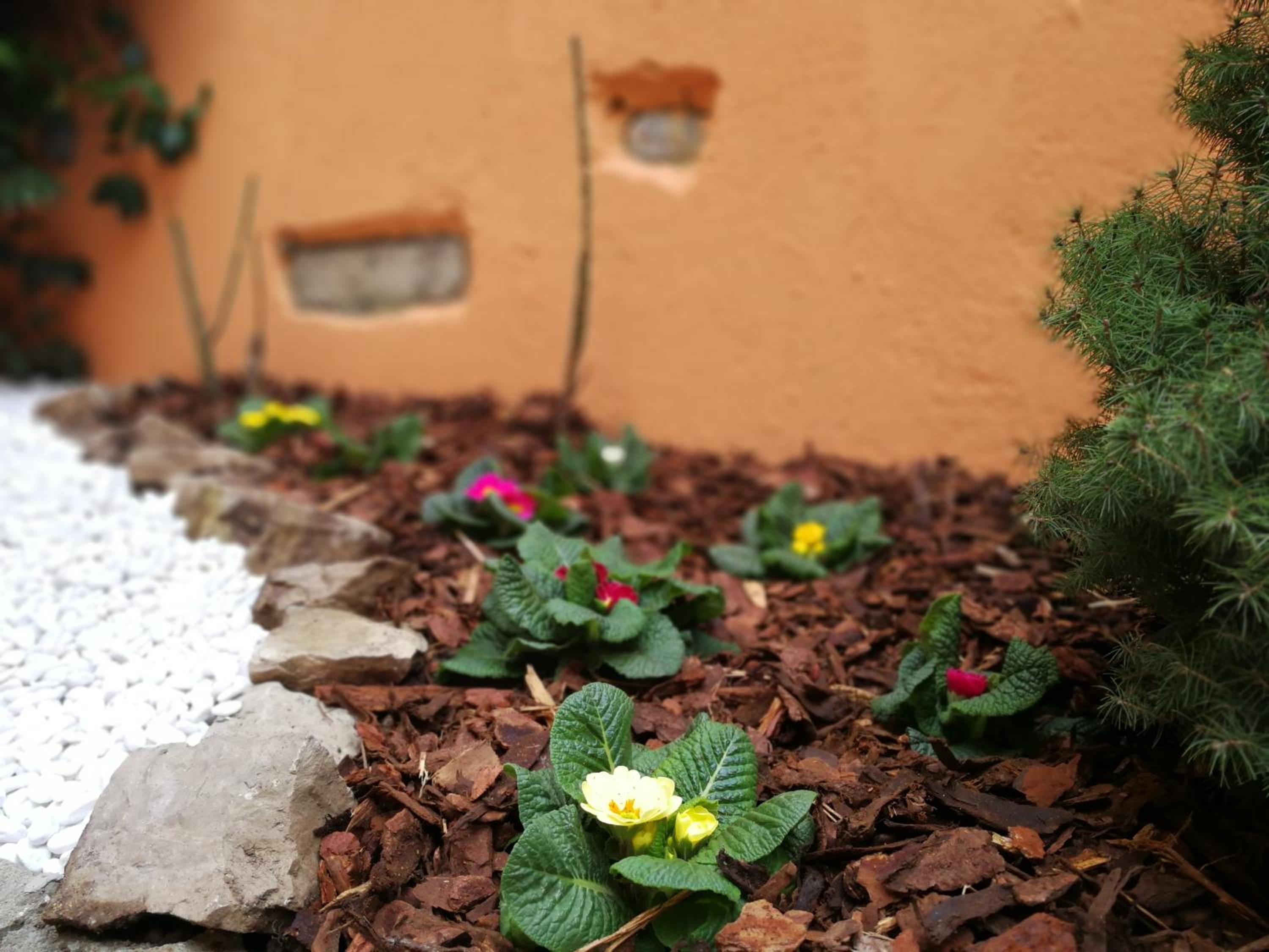 Photo 17