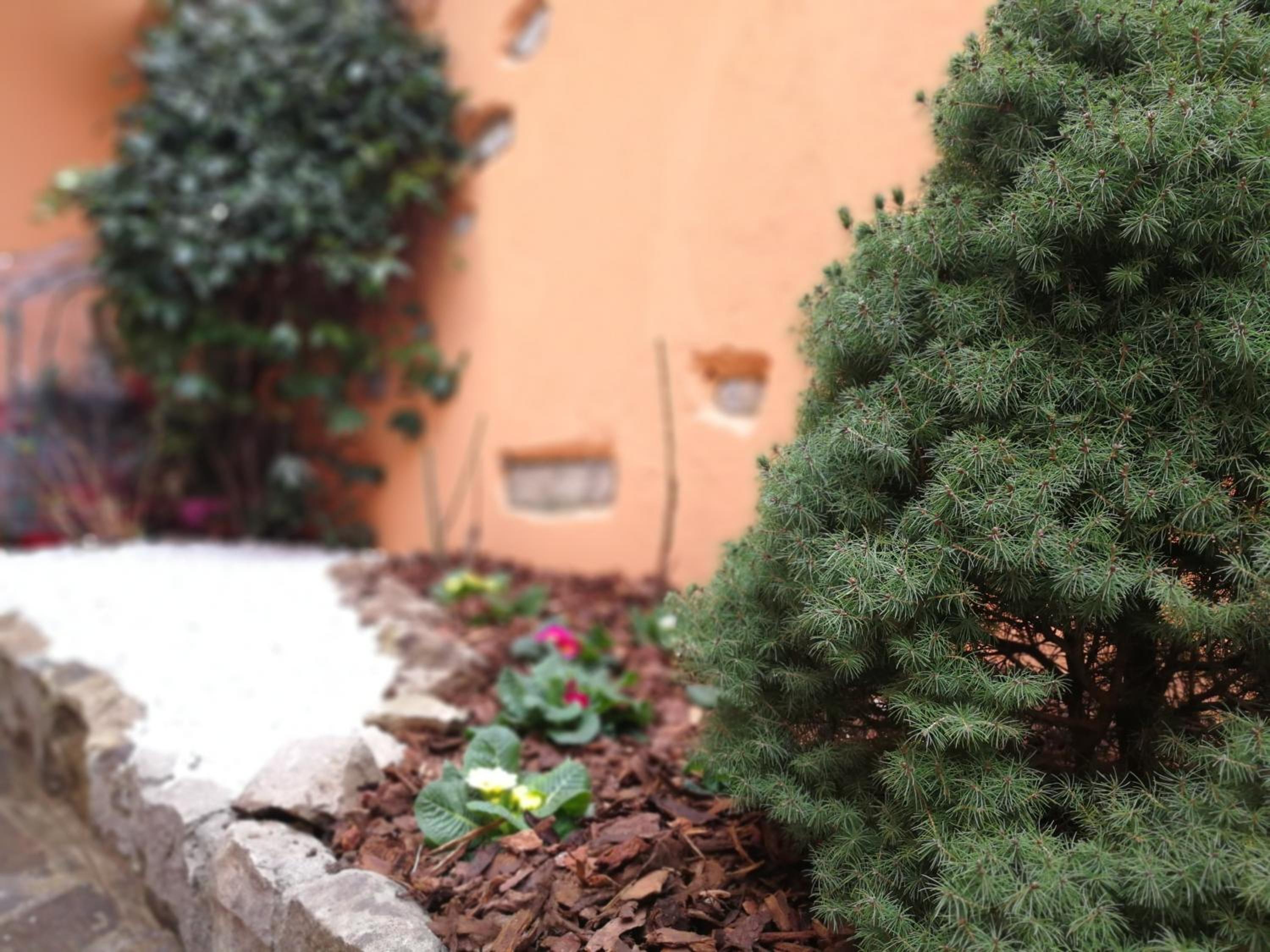 Photo 14