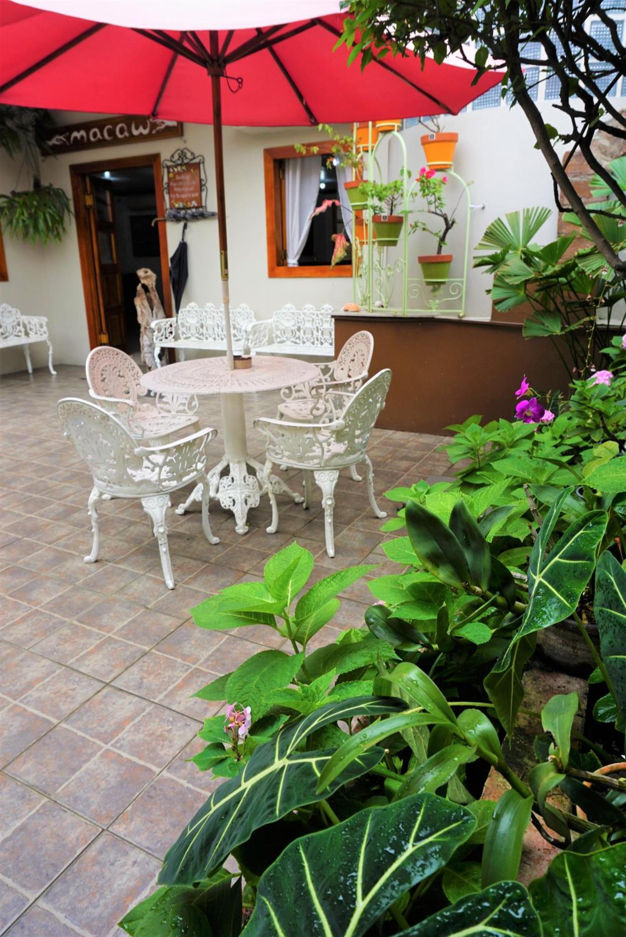 Hostal Macaw