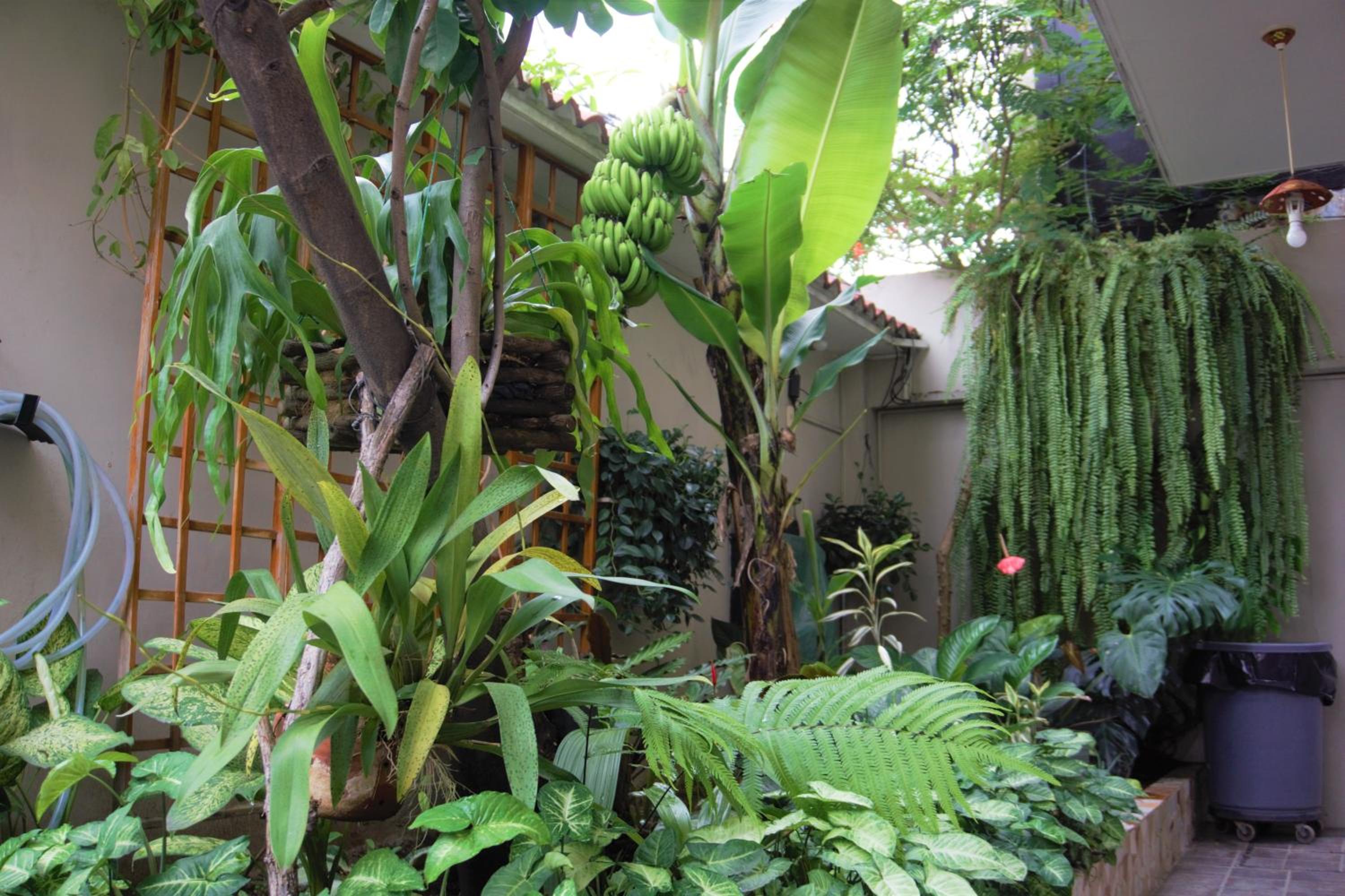 Hostal Macaw en Guayaquil