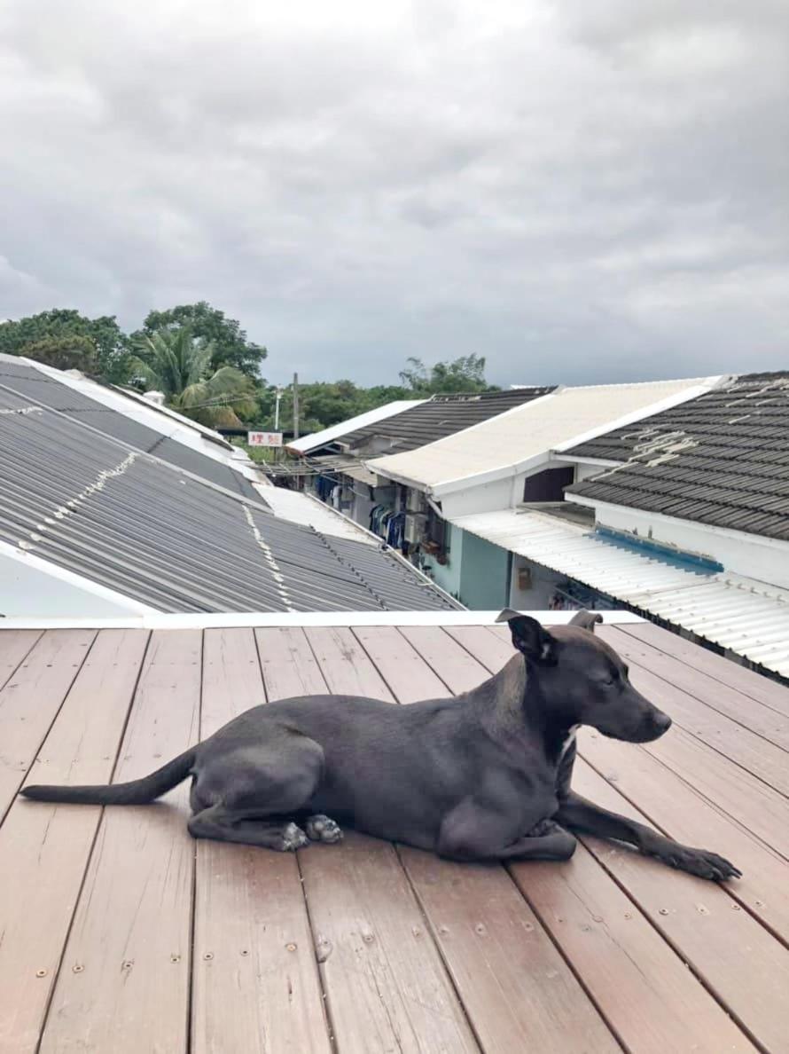 roof