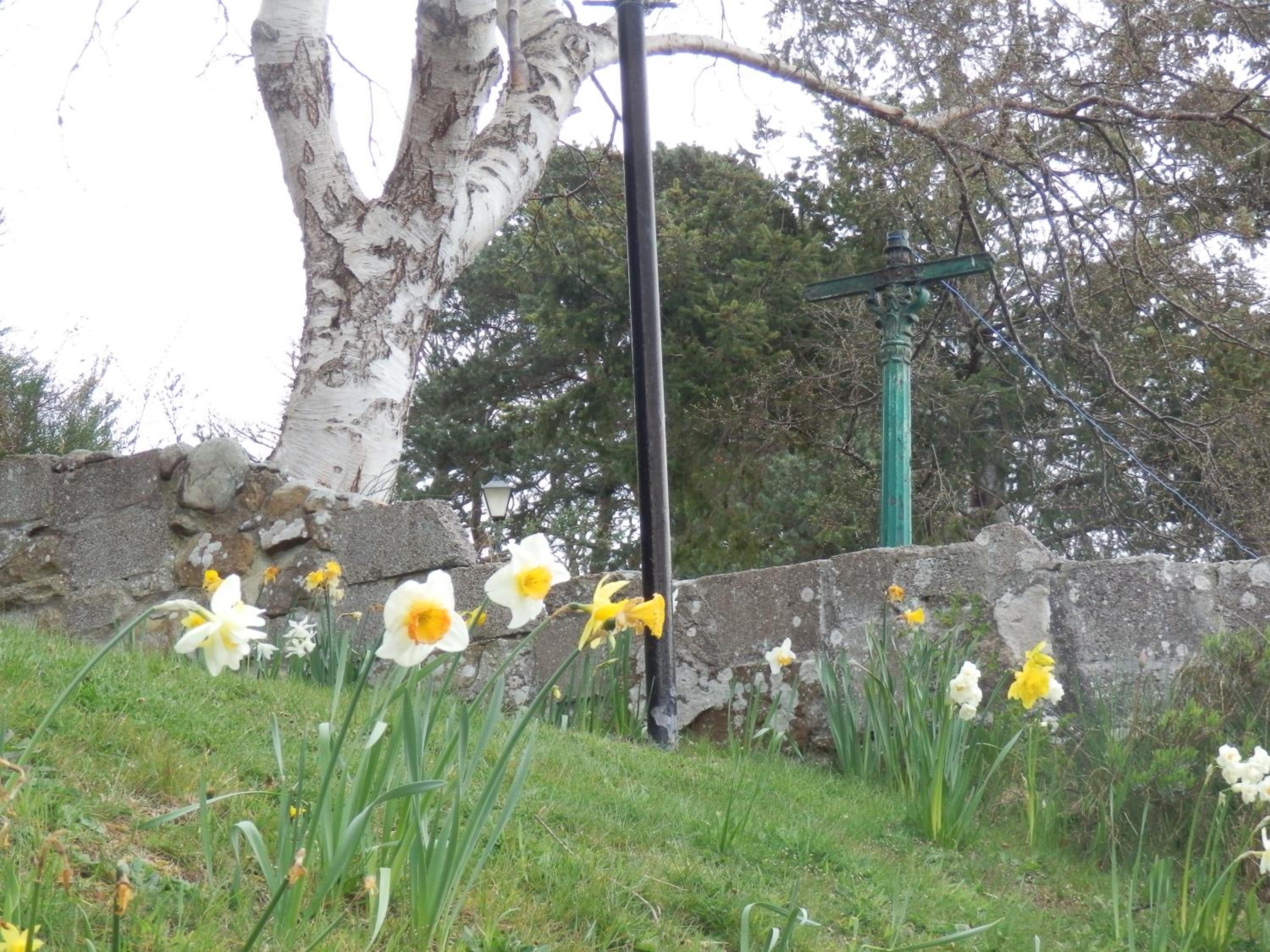 Photo 12