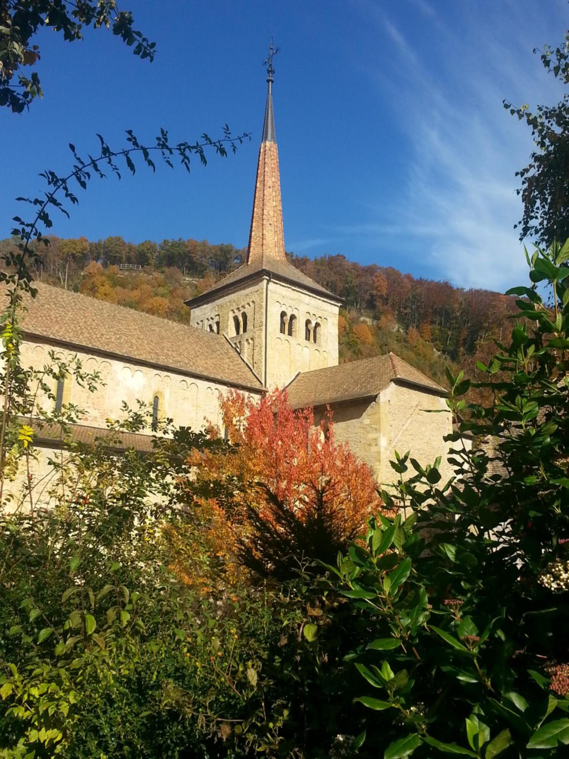 Photo 43