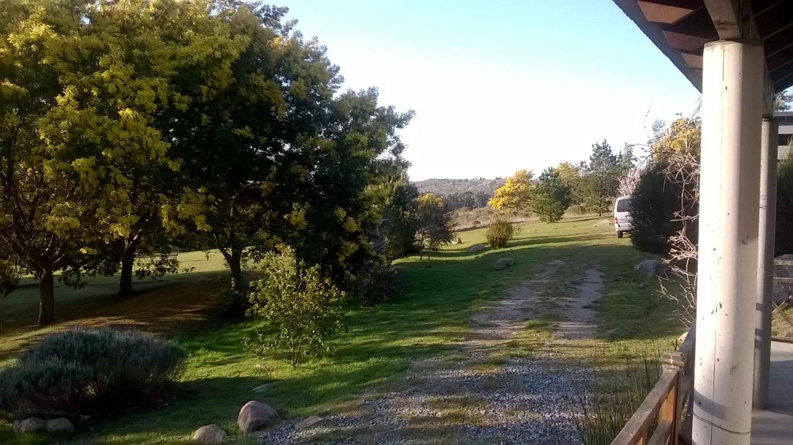 Las Golondrinas