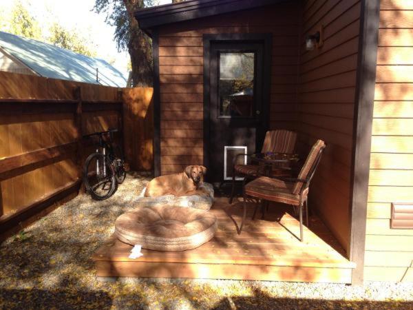 Photo 7