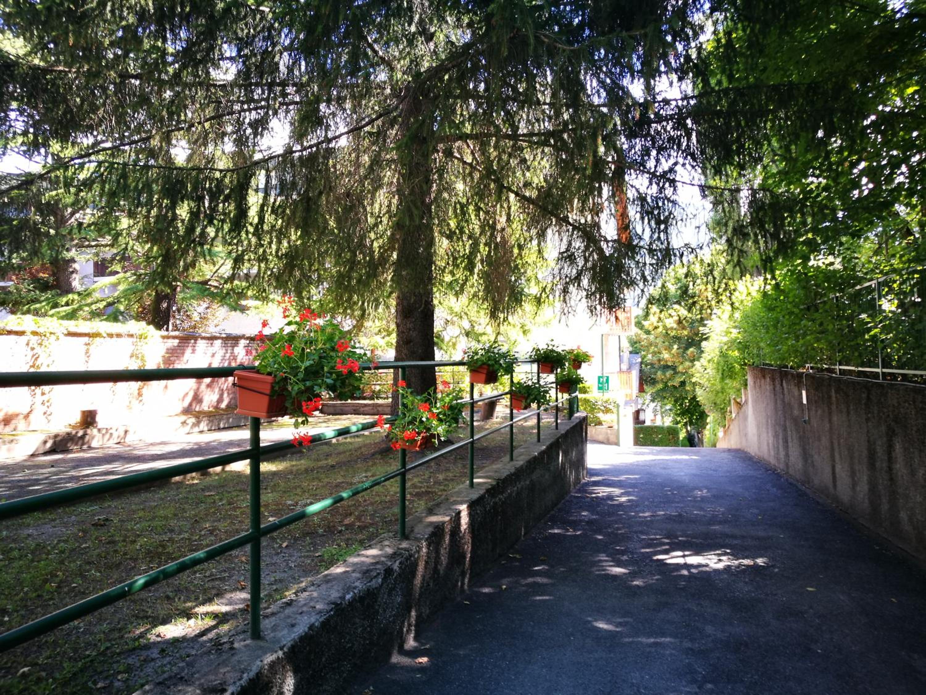 In centro , ma a due passi dal bosco view 5