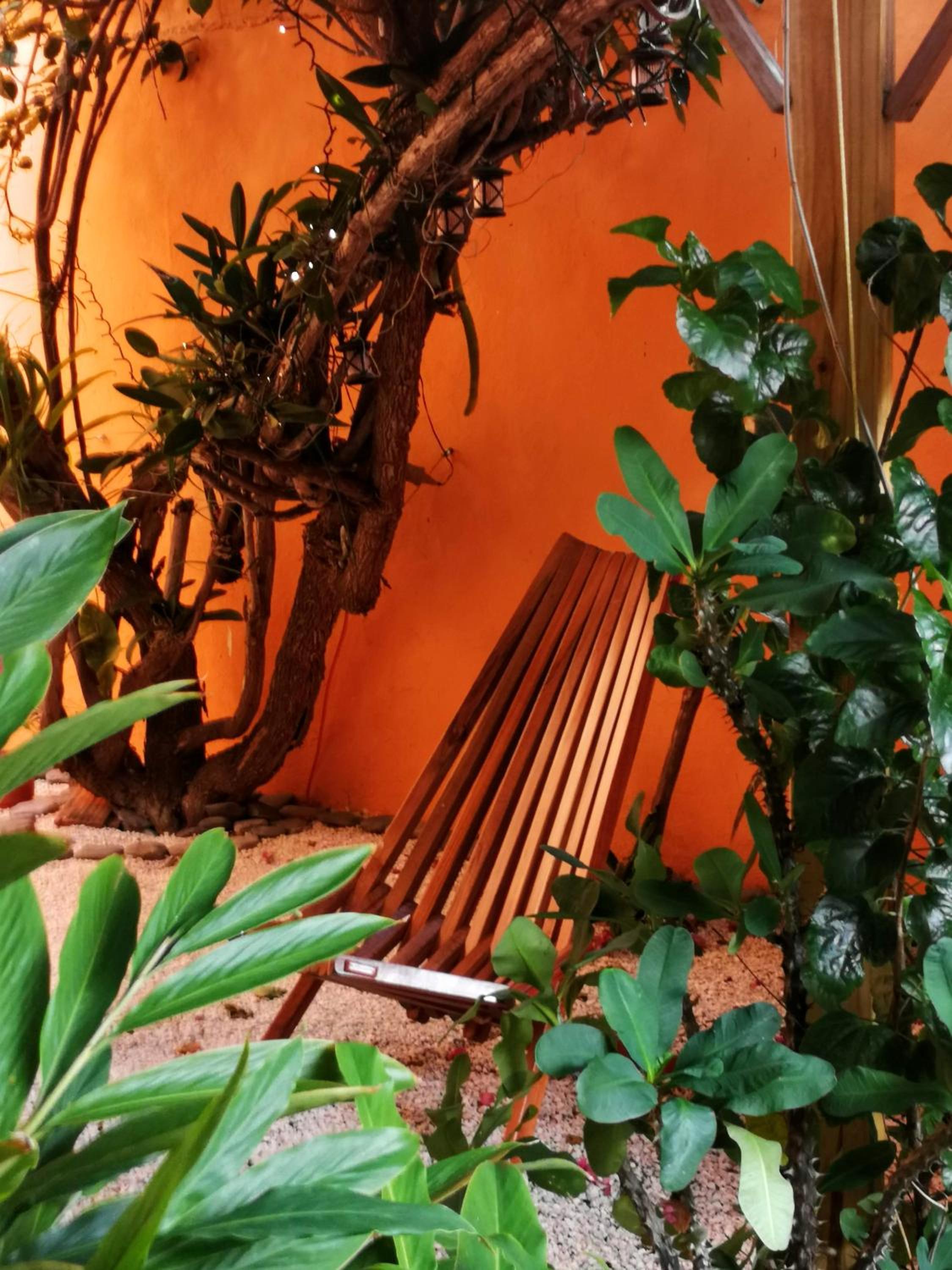 Casa Loritos