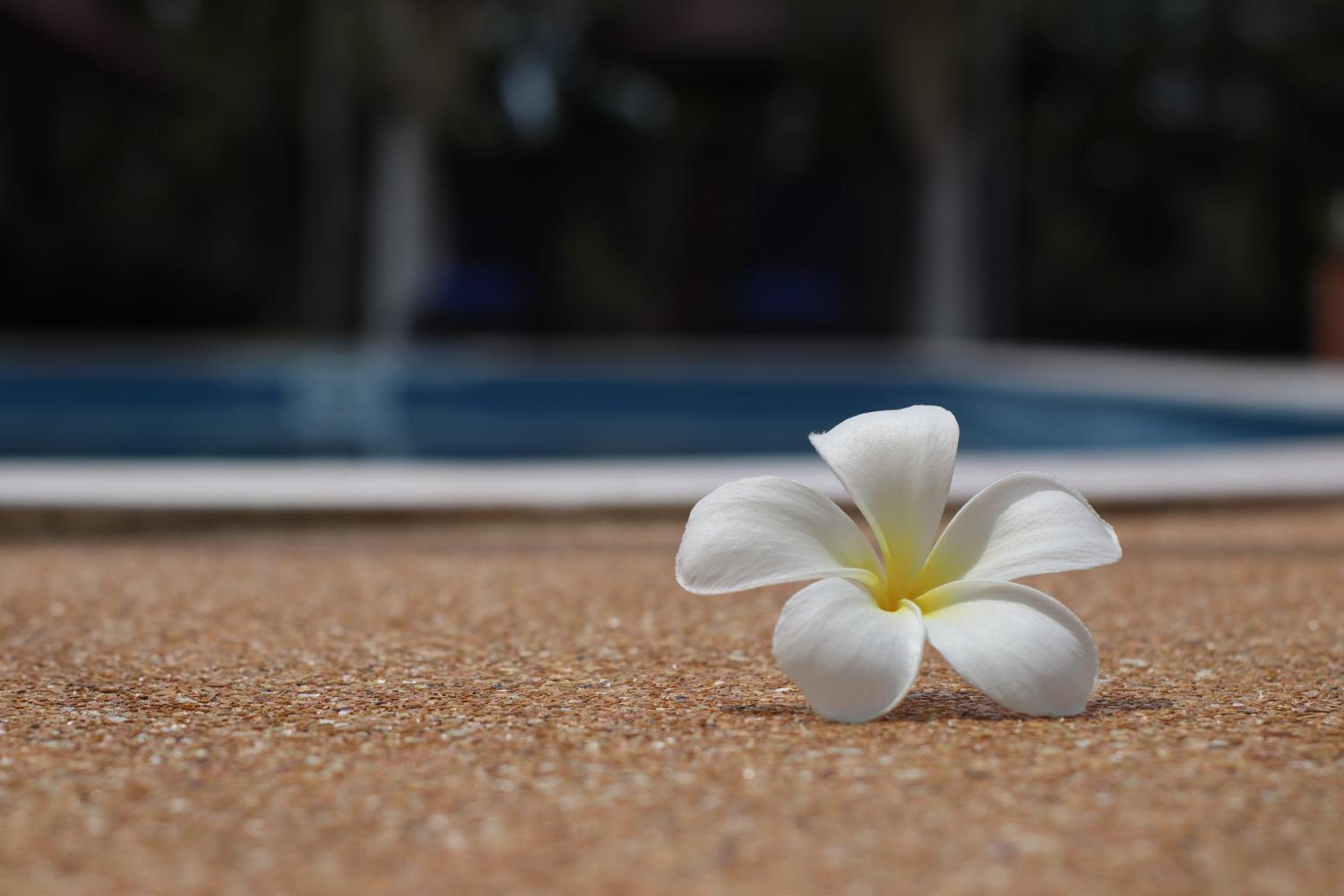 The Hillside Pranburi Resort