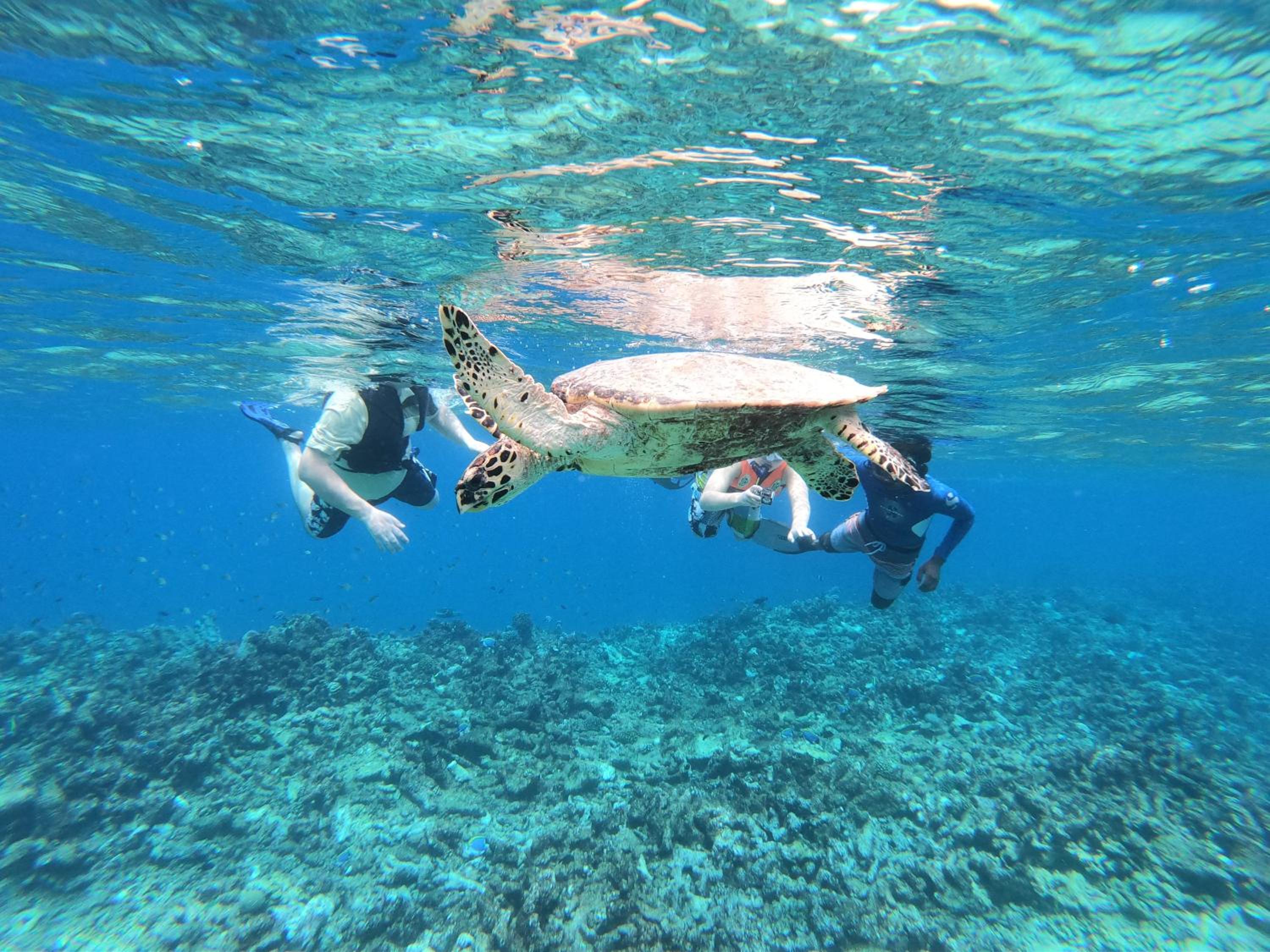 Acqua Blu Rasdhoo