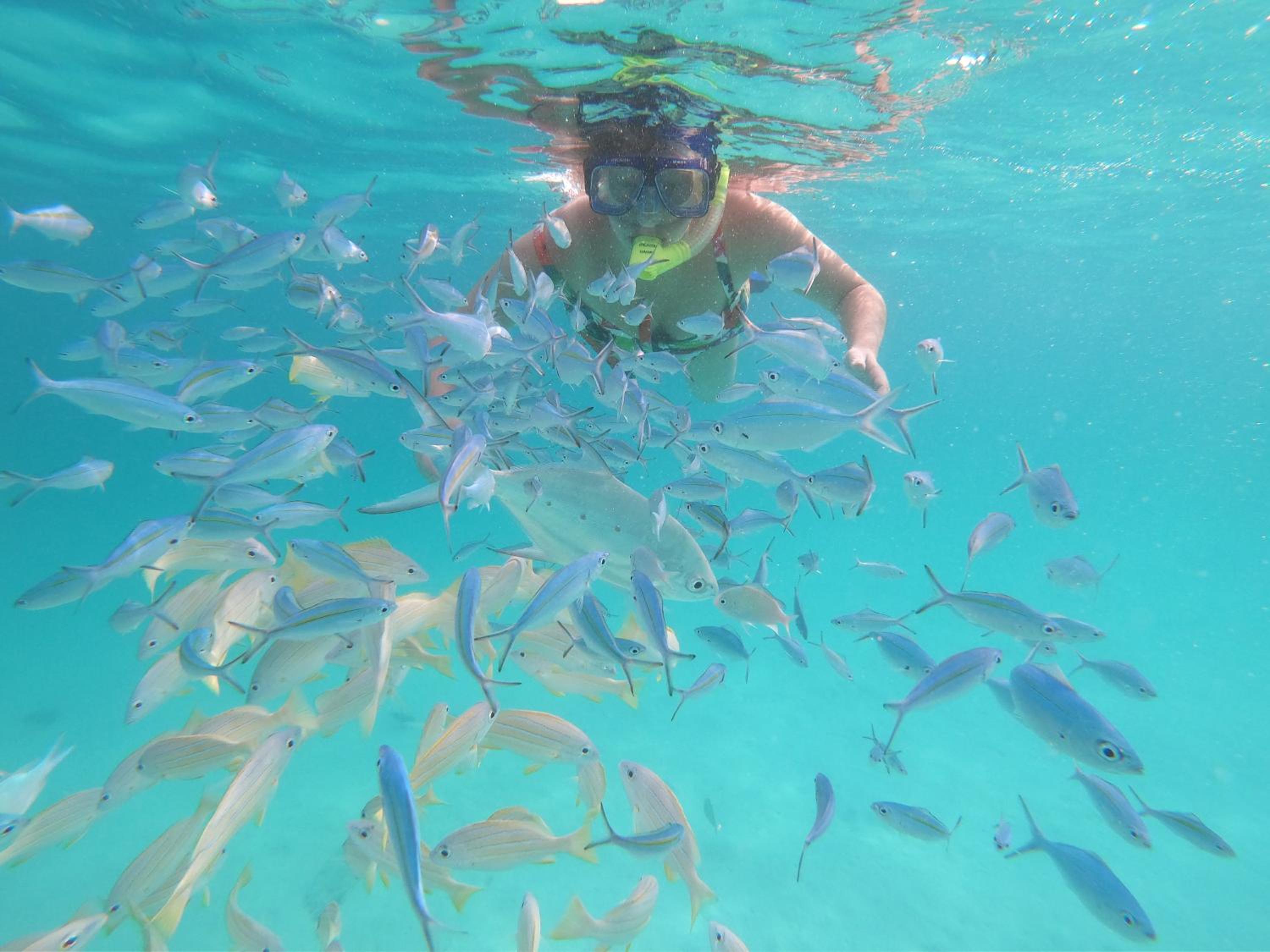 Acqua Blu Rasdhoo photo 5