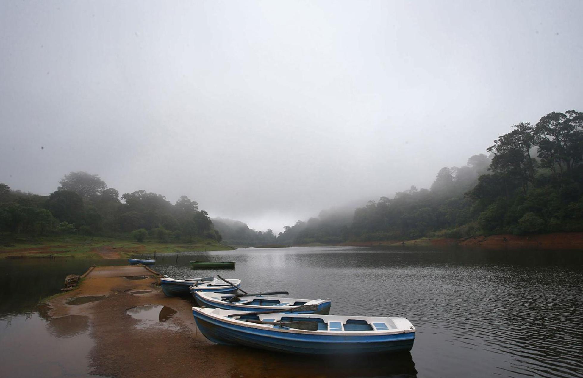 Thekkady Vacations - Niraamaya Retreats Cardamom Club - Property Image 12