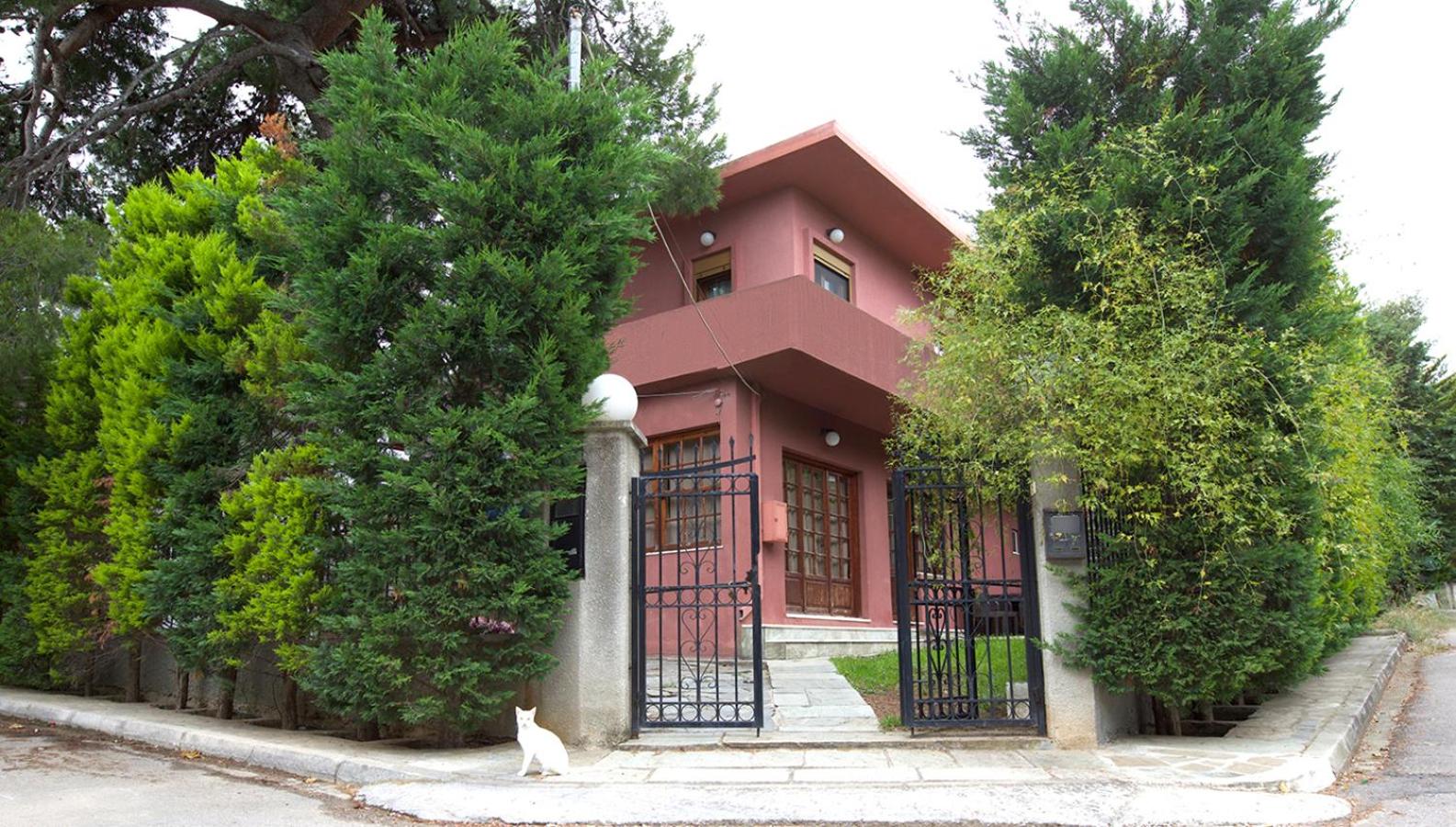 Villa House 200m From Sea view 3