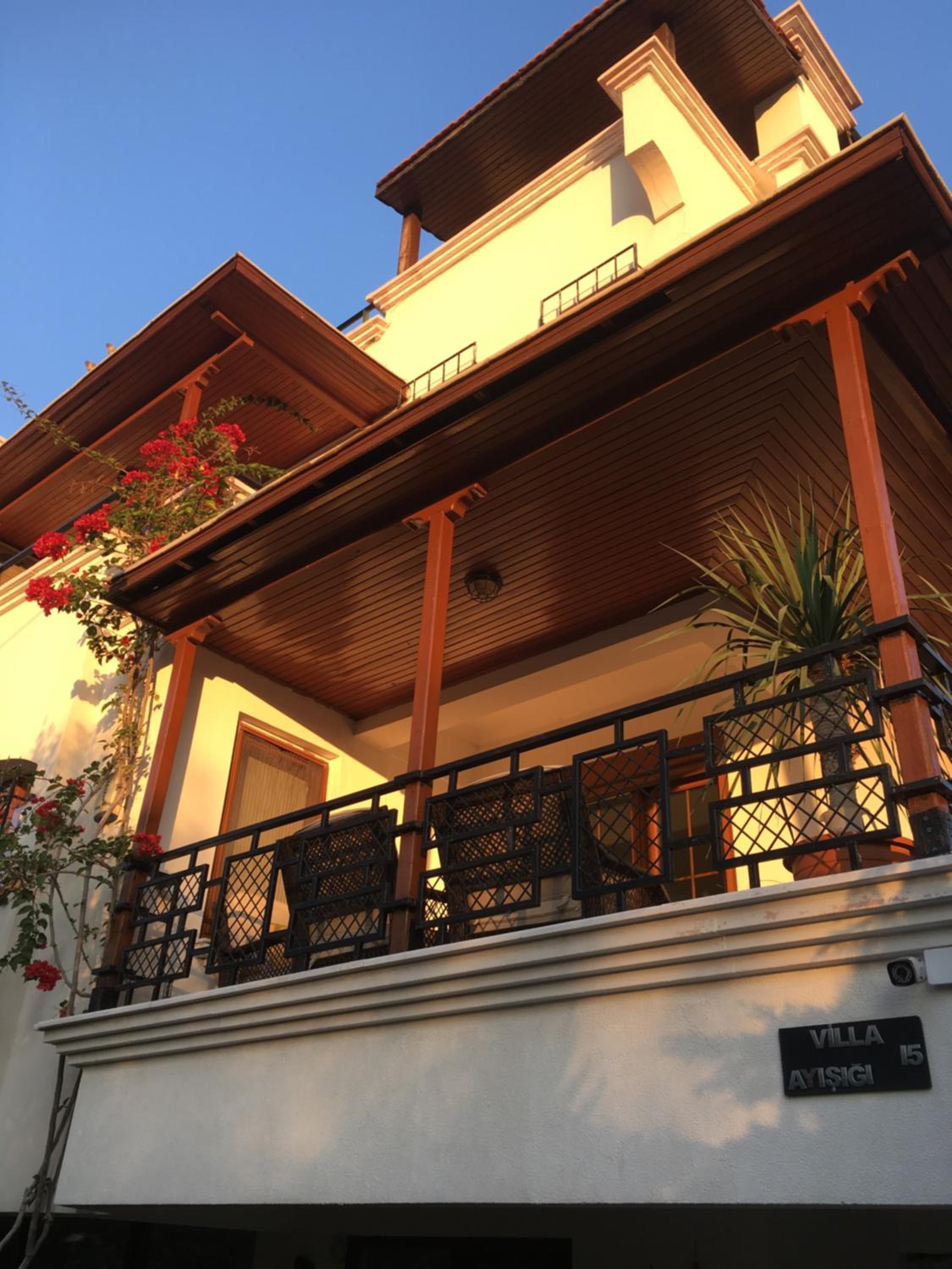 Orange Garden