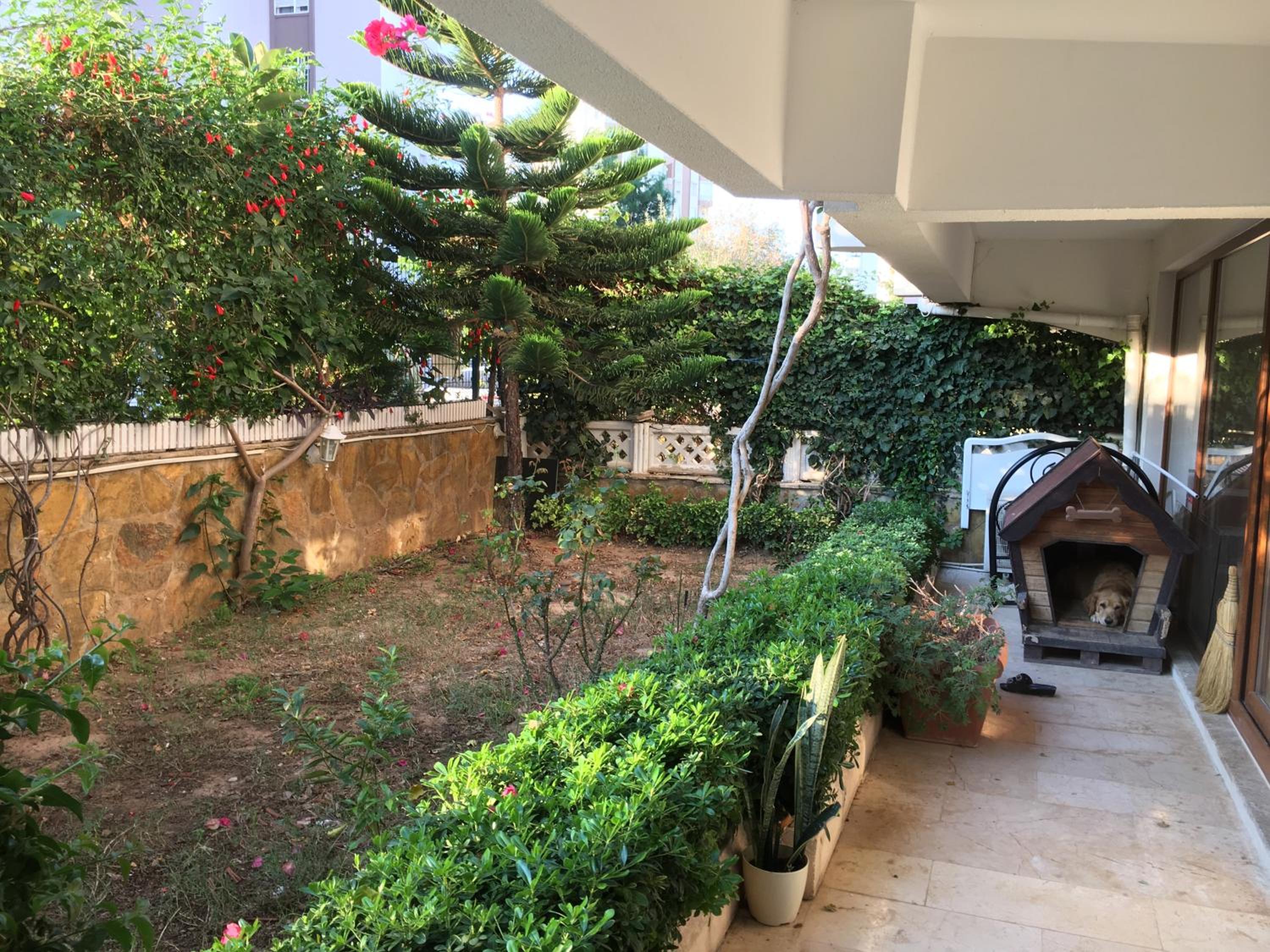 Orange Garden