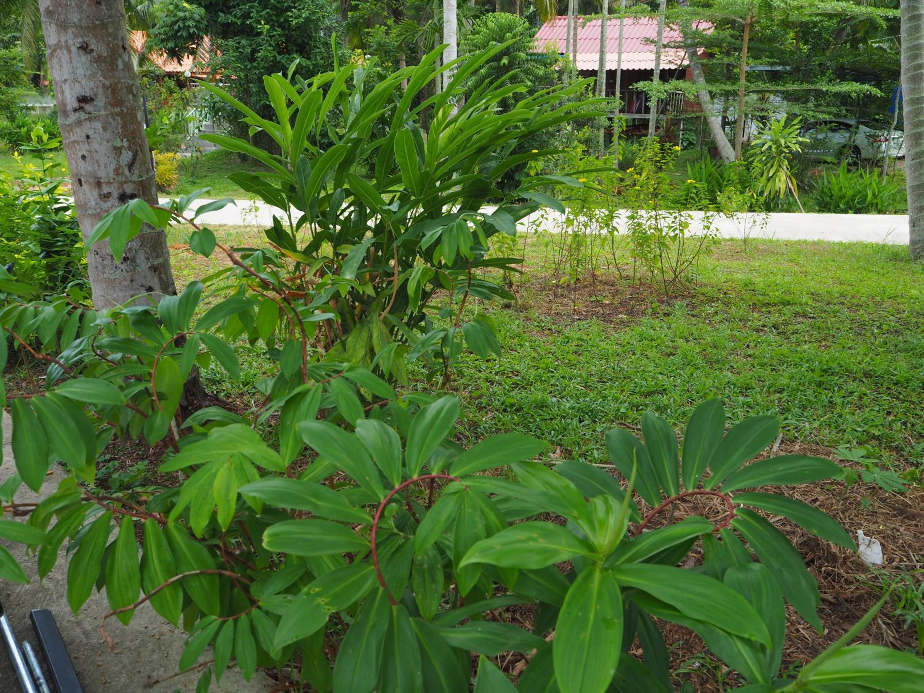 Photo 20