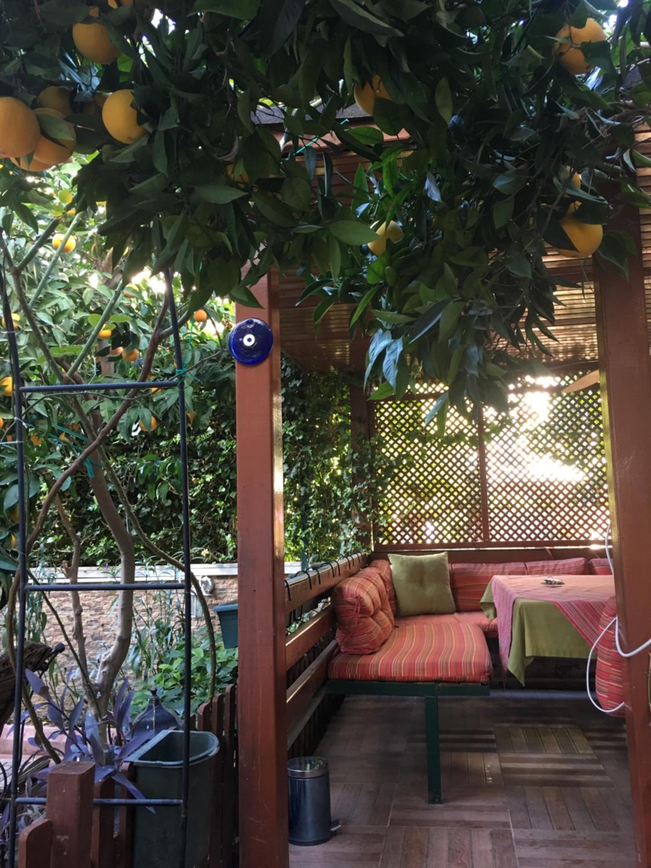 Orange Garden