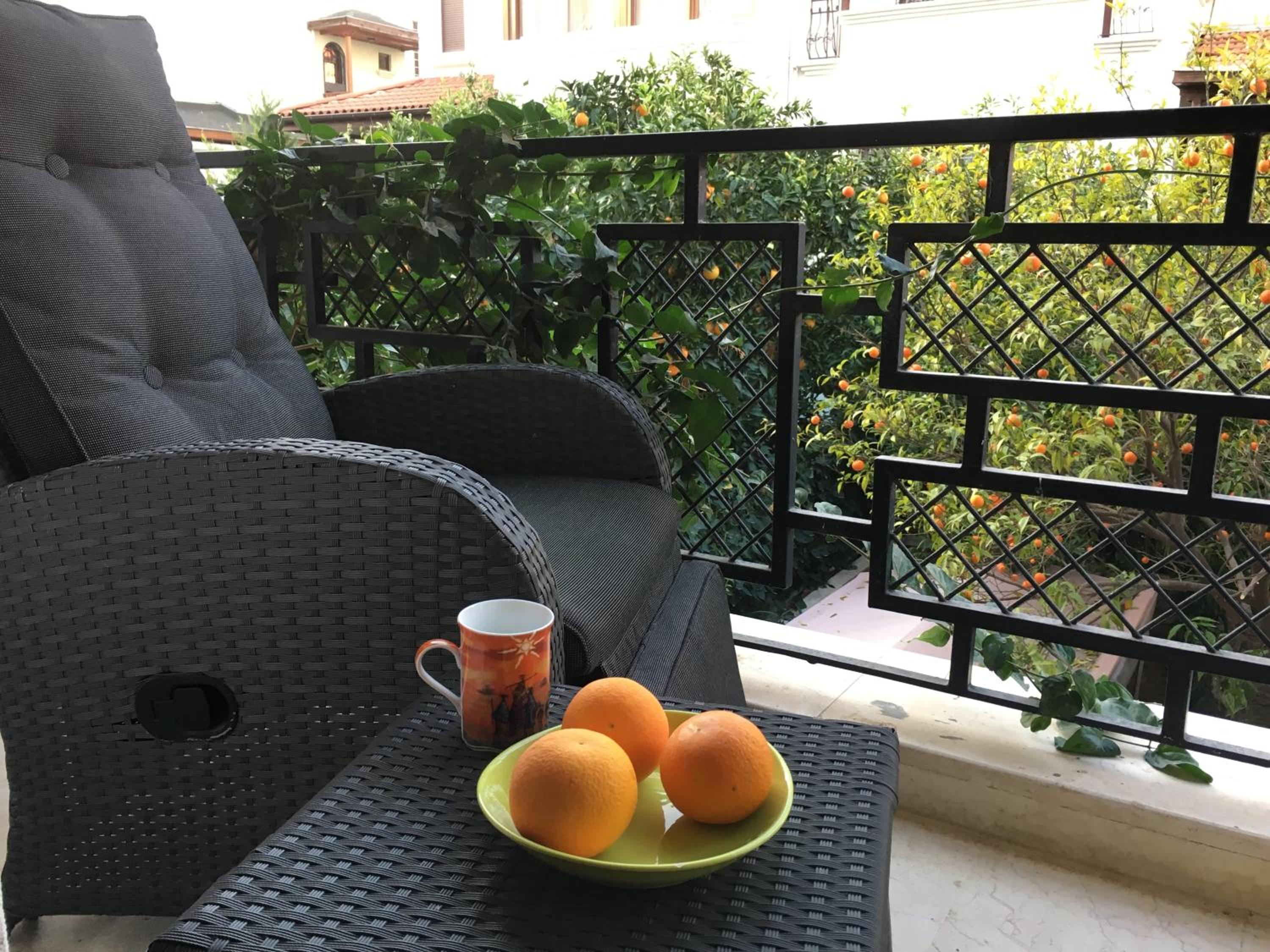 Orange Garden