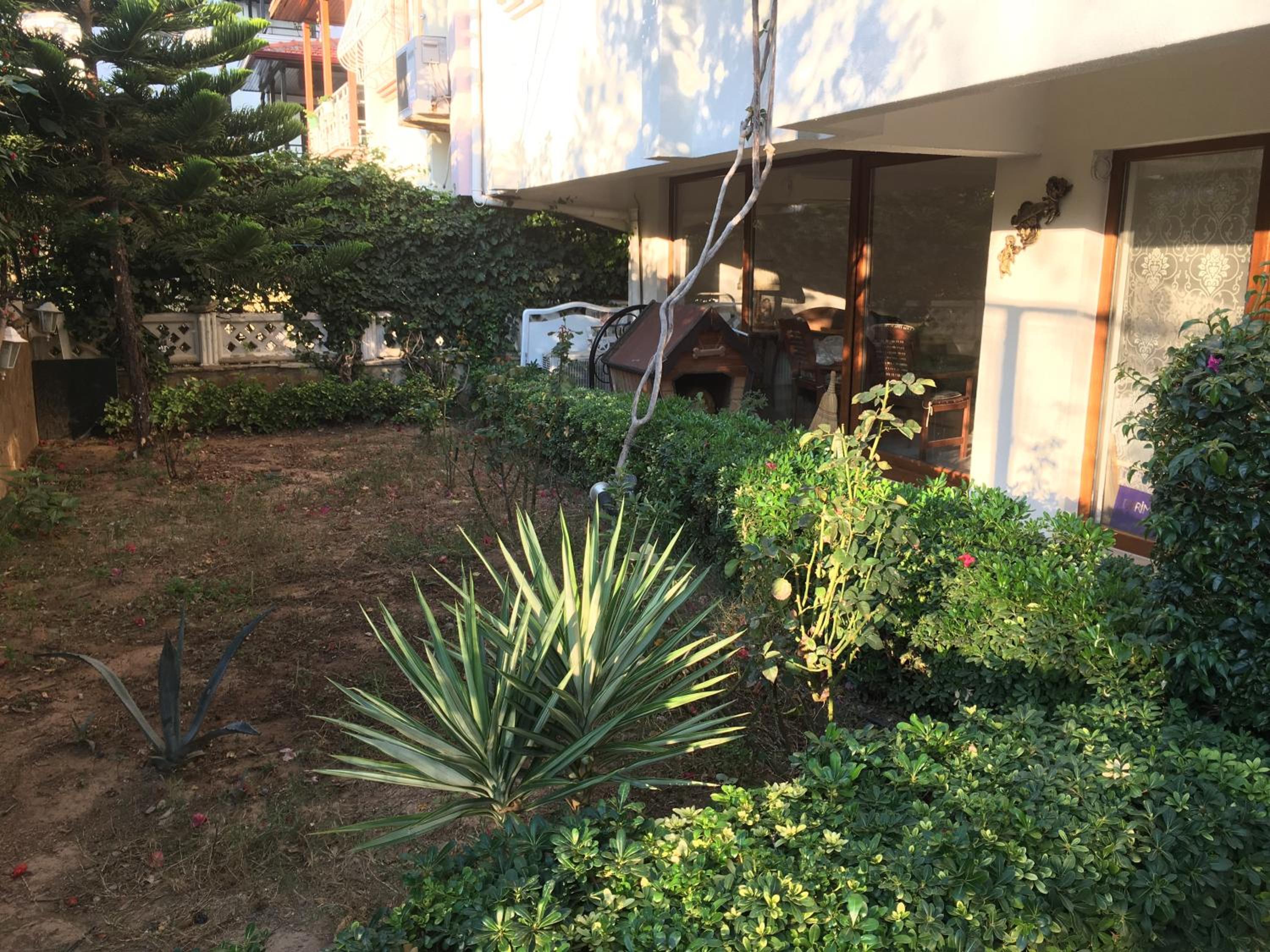 Orange Garden
