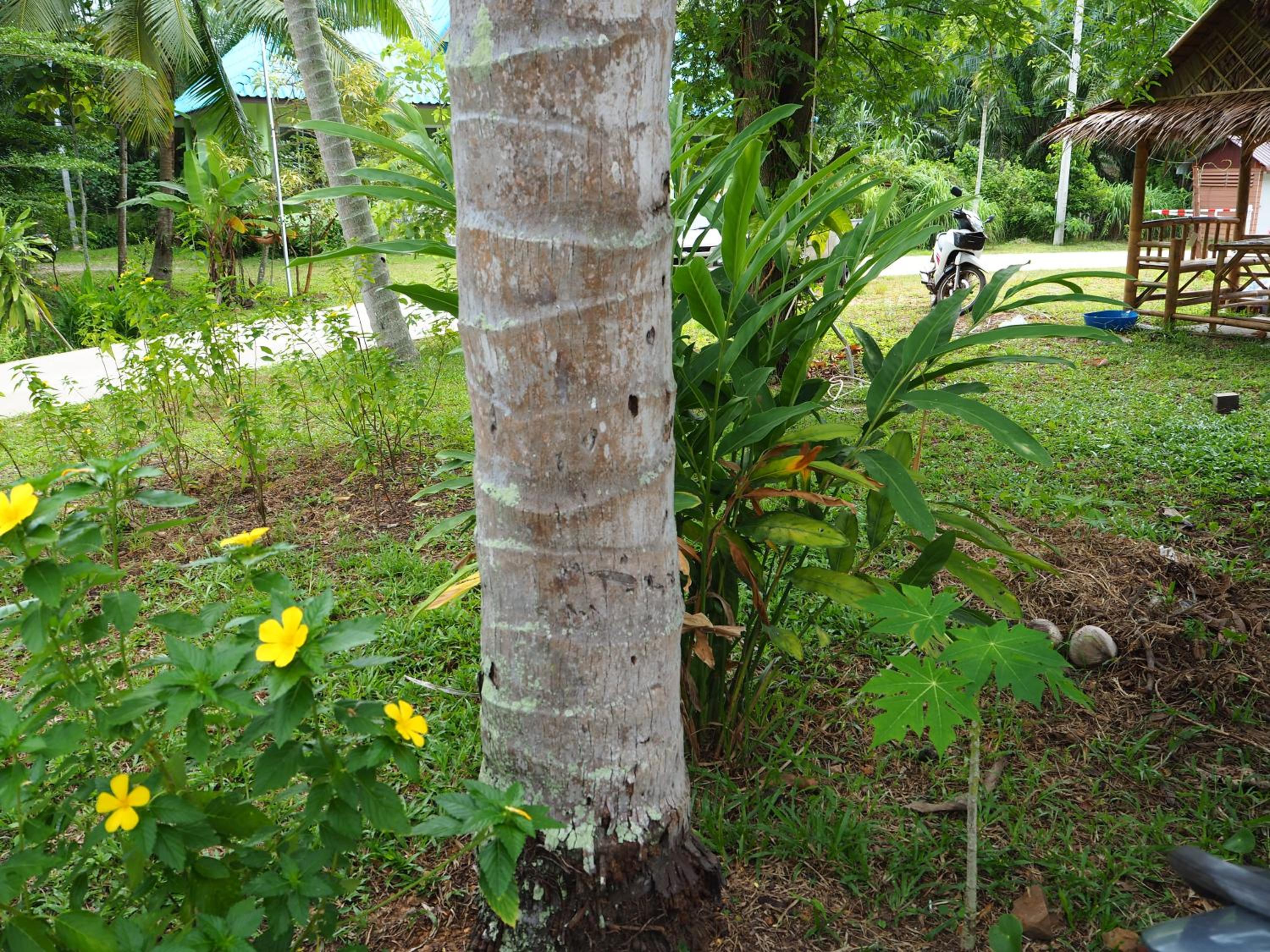 Photo 19