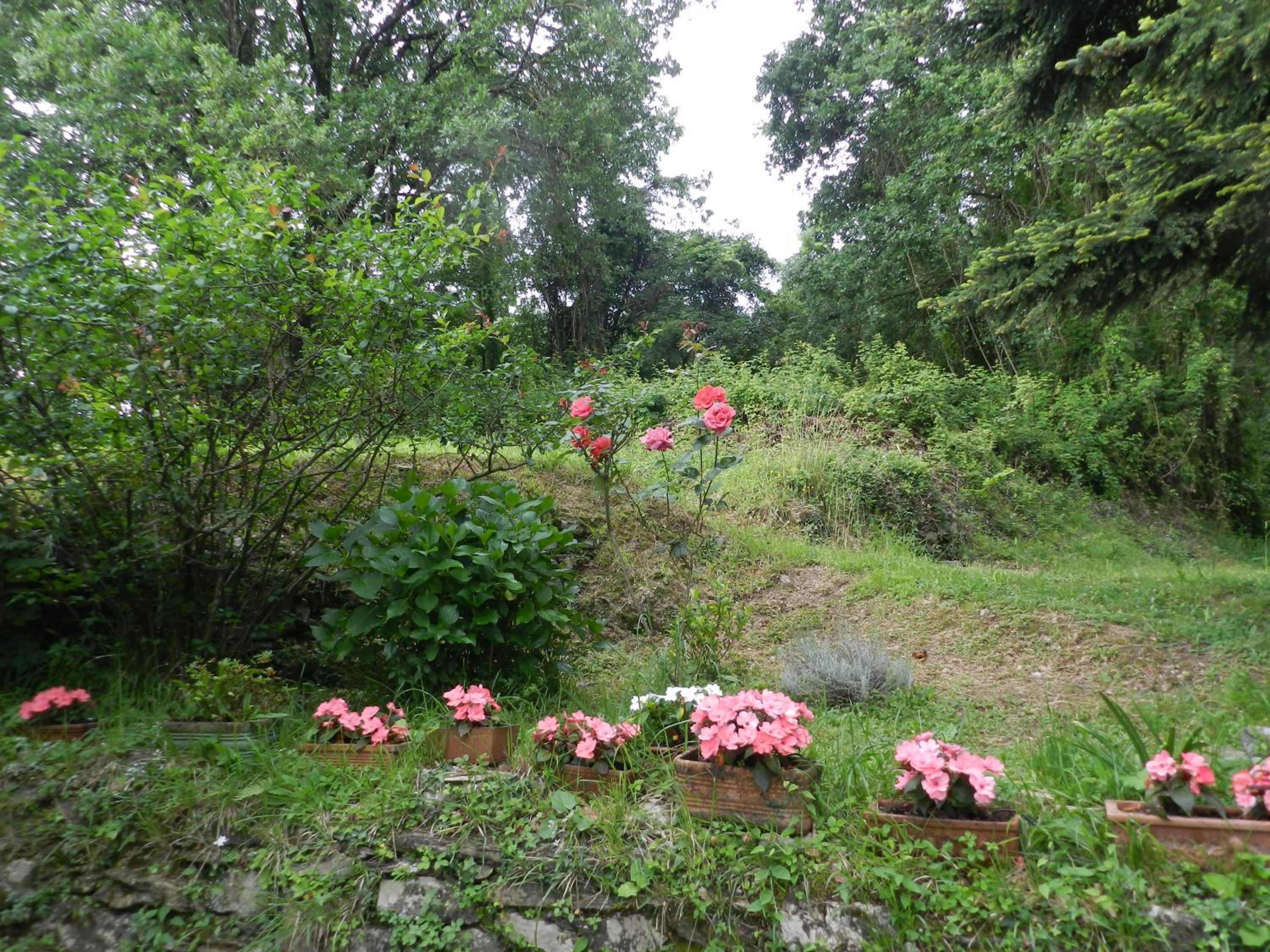 Photo 39