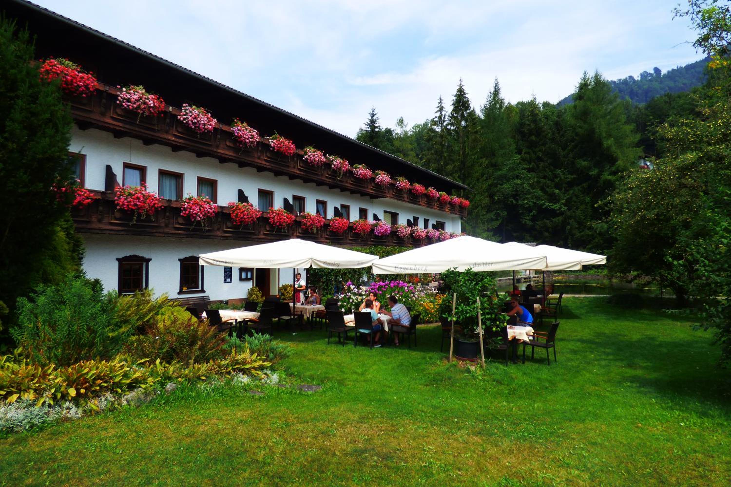 Wieselmühle Forellenhof