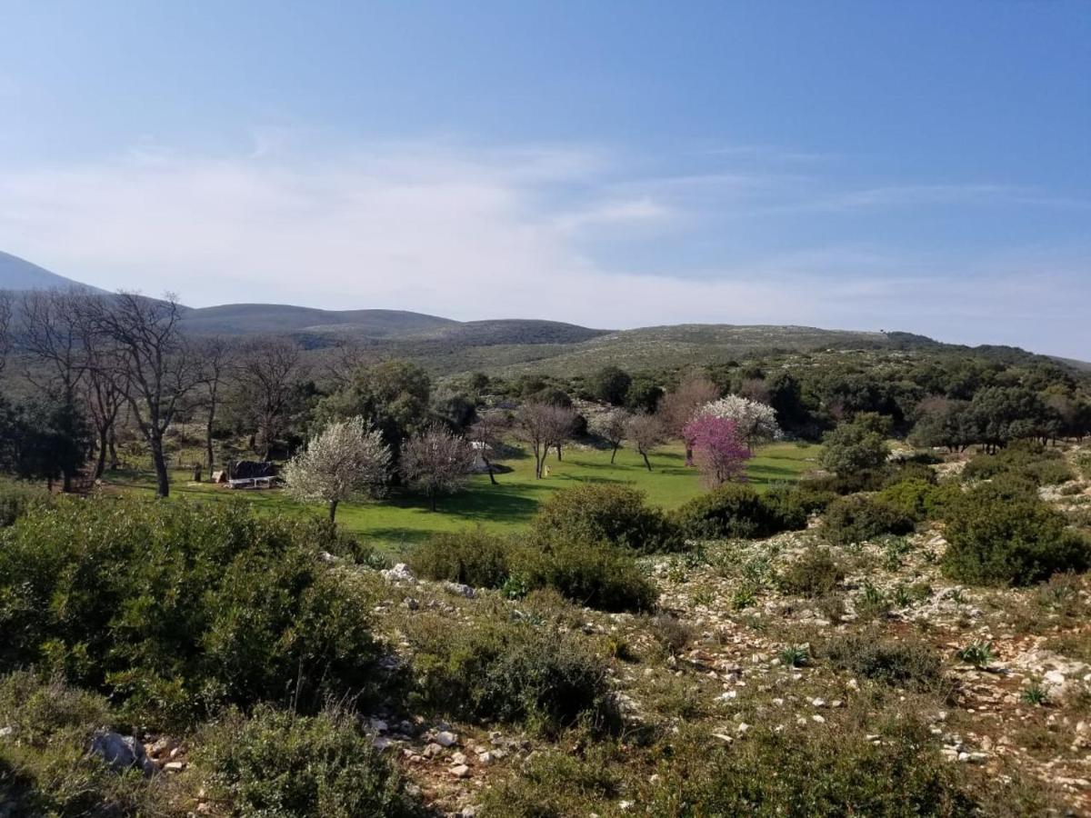 Apartments Rezidenca Sinani Orikum
