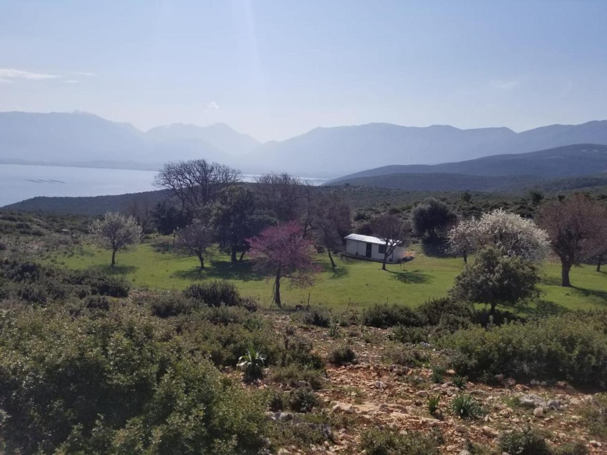 Apartments Rezidenca Sinani Orikum