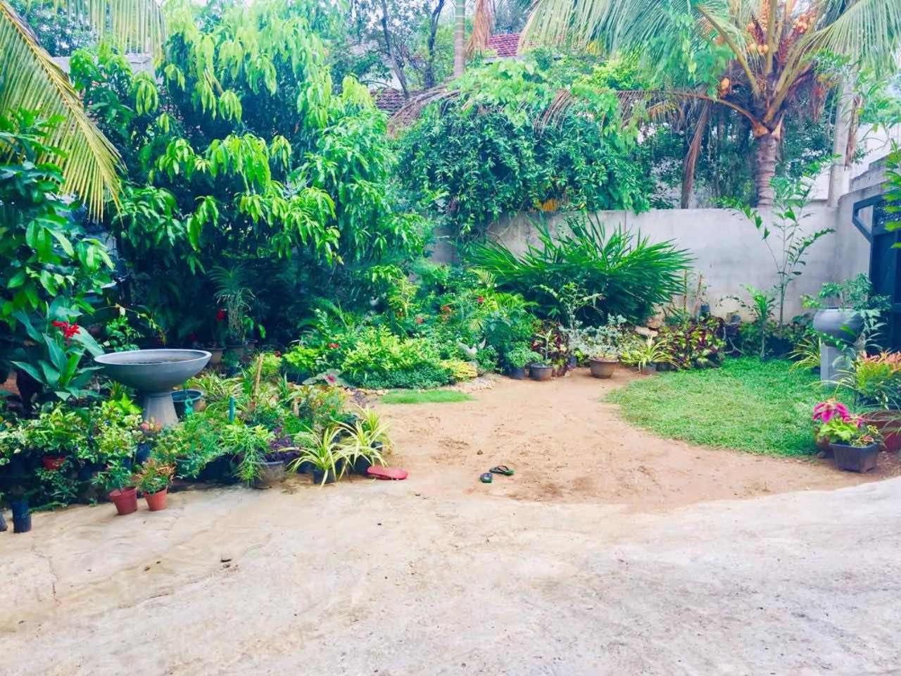 Suwani Pinnawala Homestay view 4