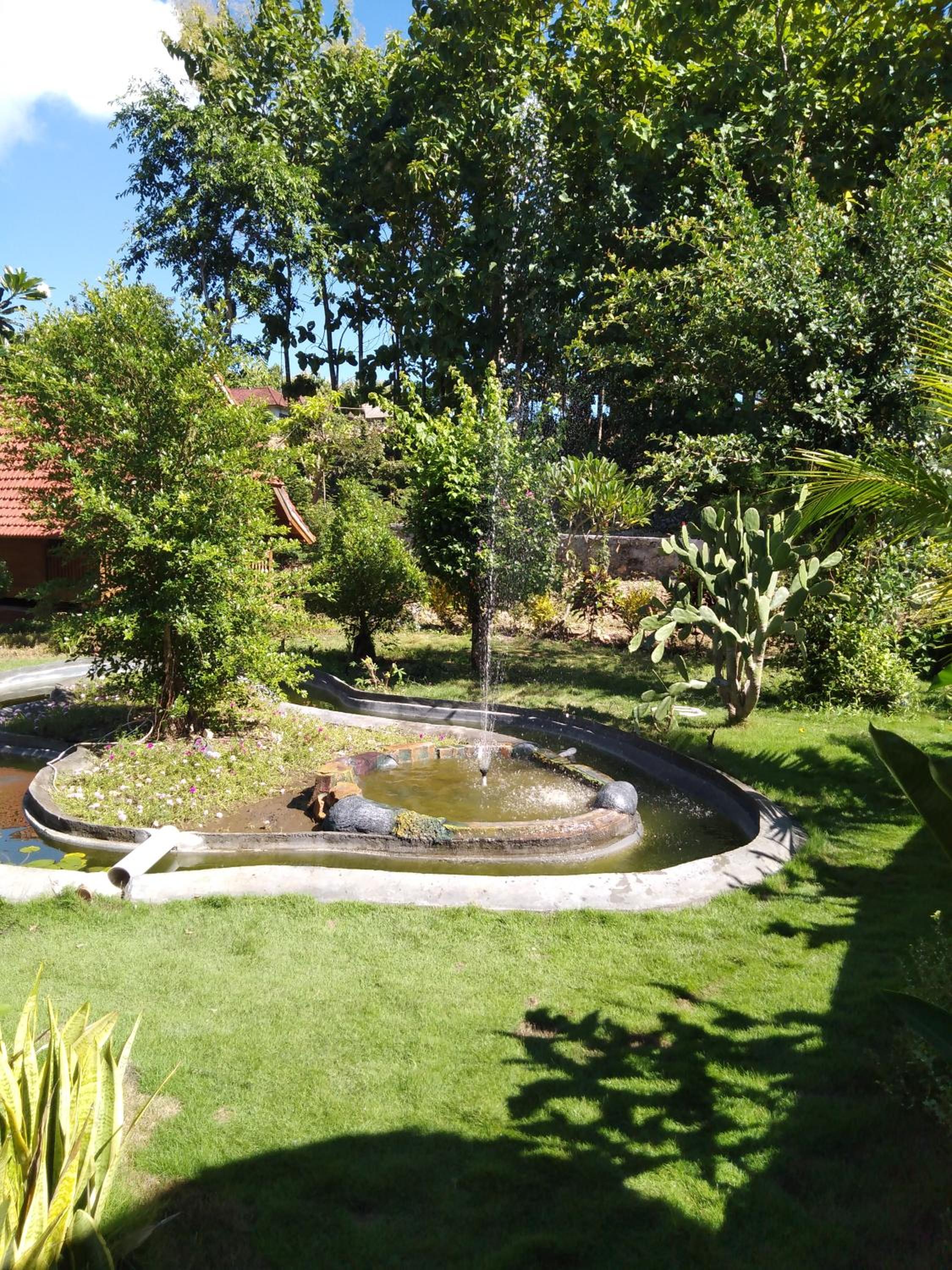 Photo 47