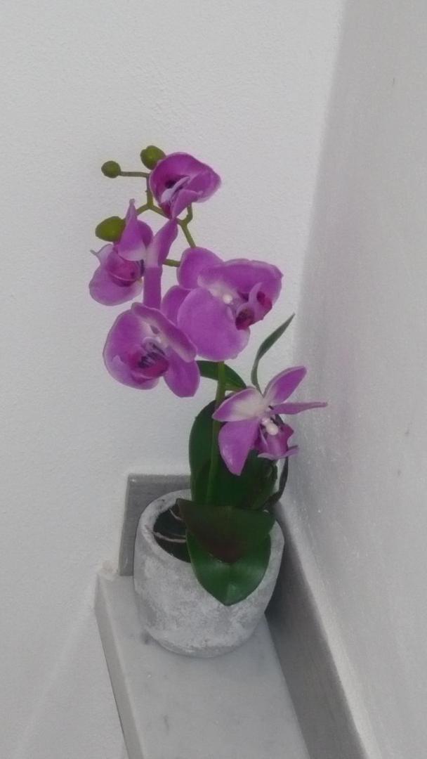 La casa di Balto, un nido per 2 - Property Image 20