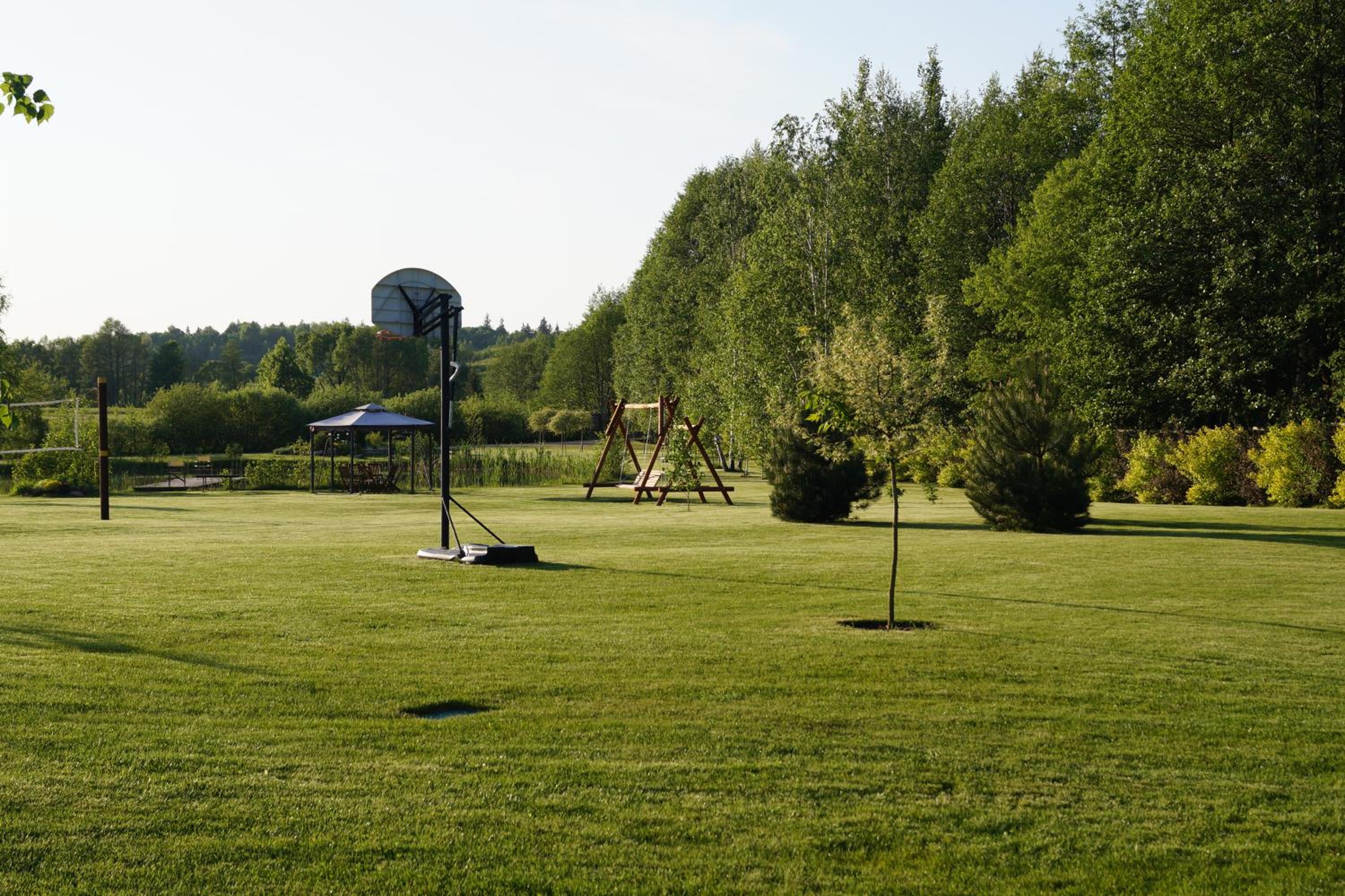 Photo 31