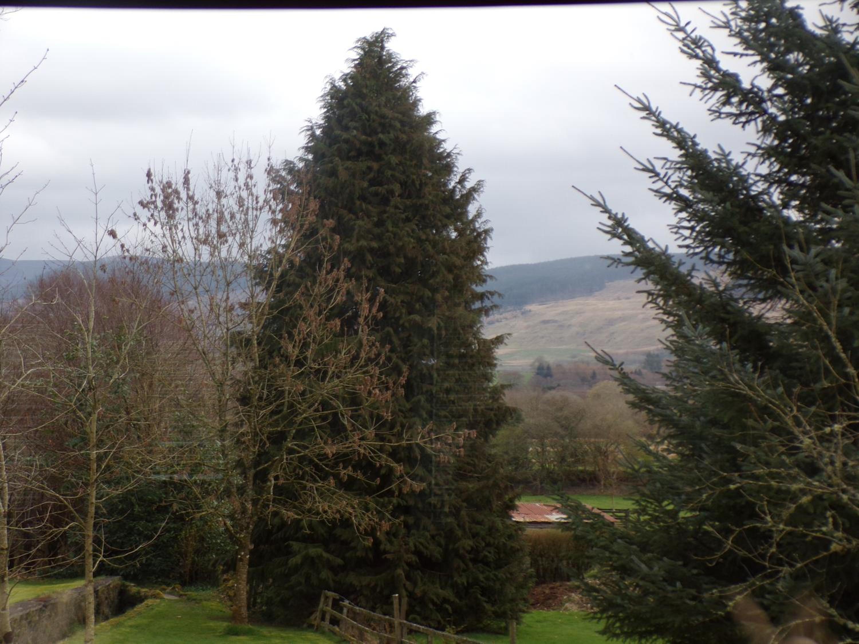 Groom's Cottage view 4