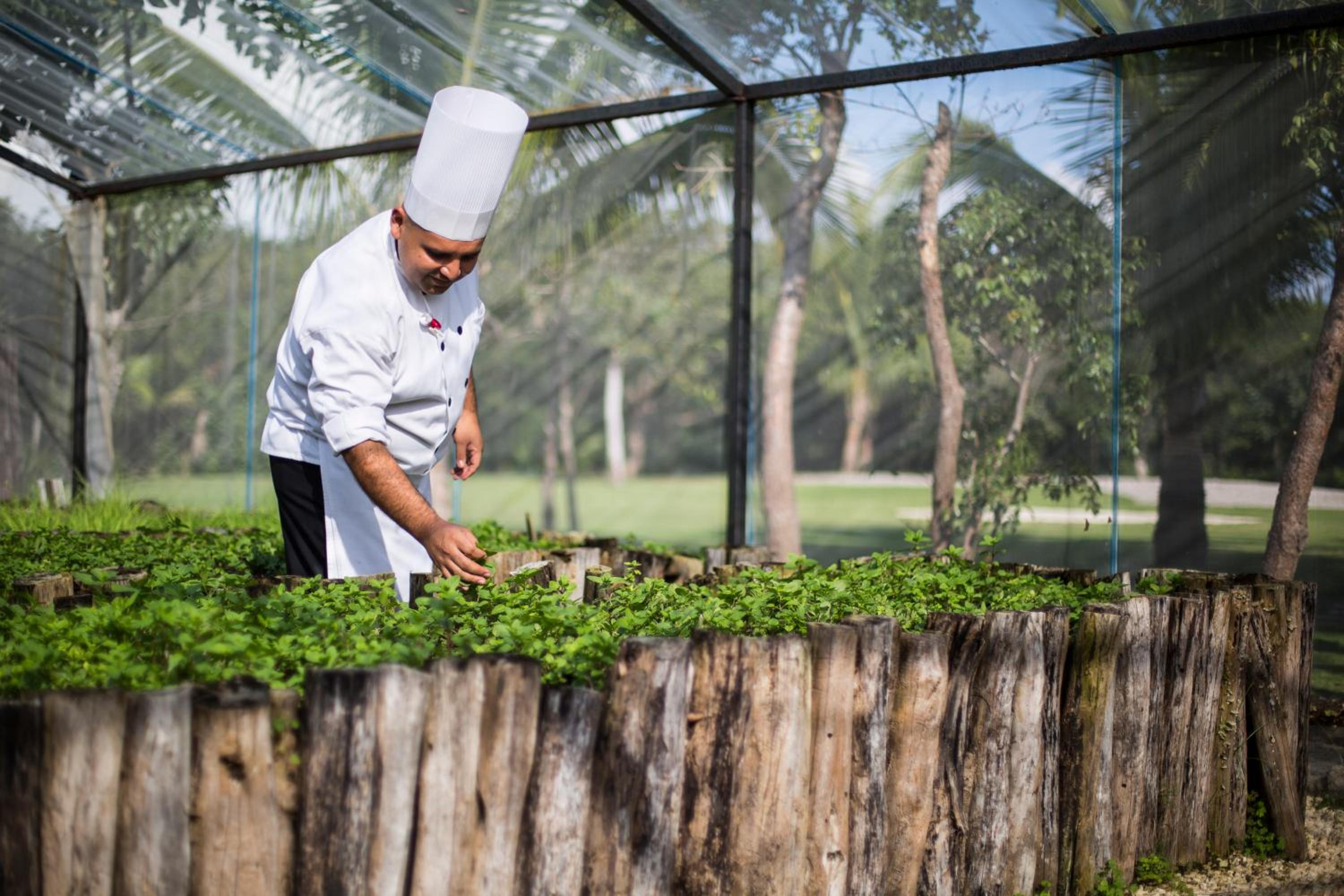 Grand Velas Riviera Maya - All Inclusive - Property Image 32