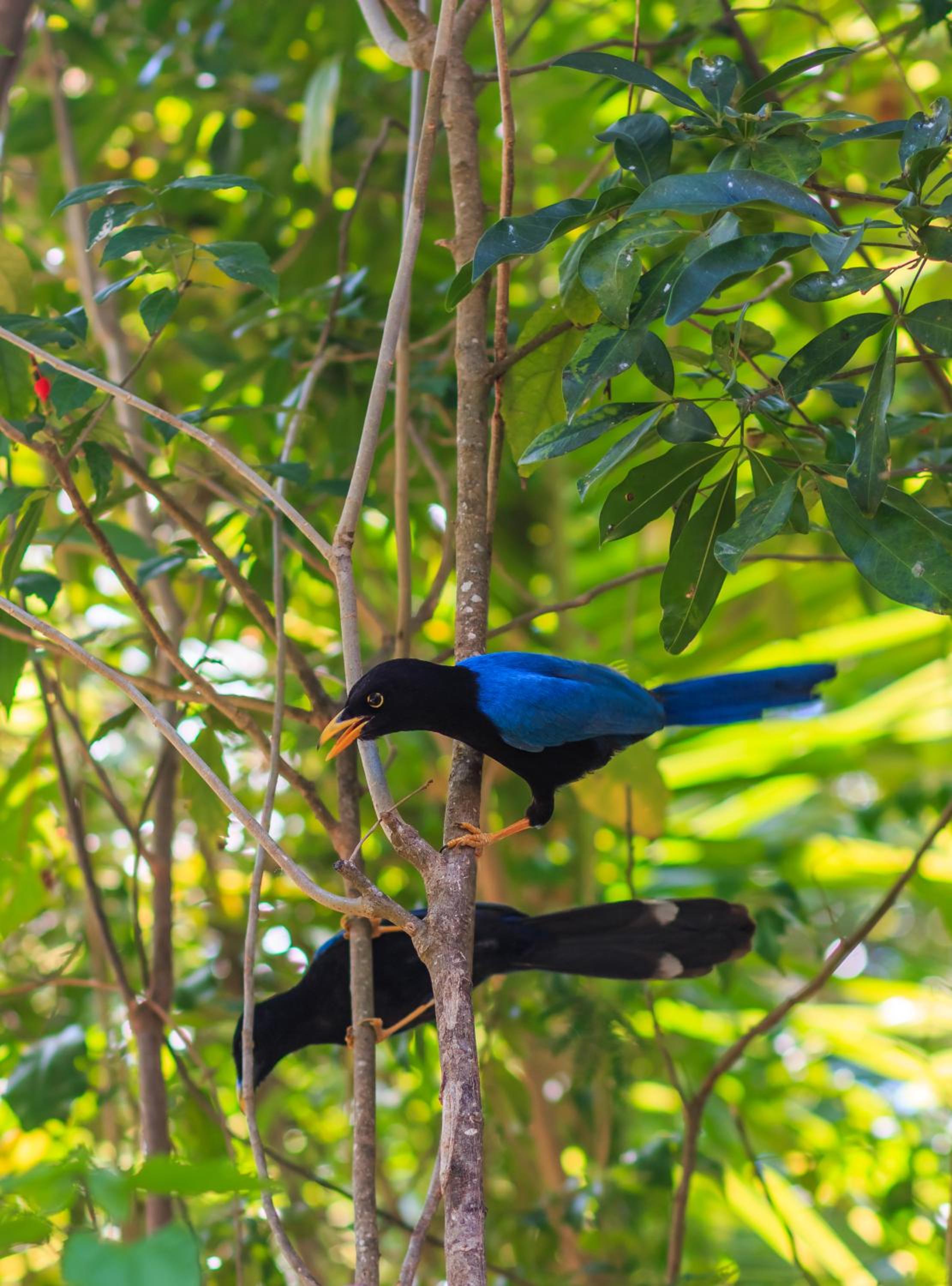 Grand Velas Riviera Maya - All Inclusive - Property Image 46