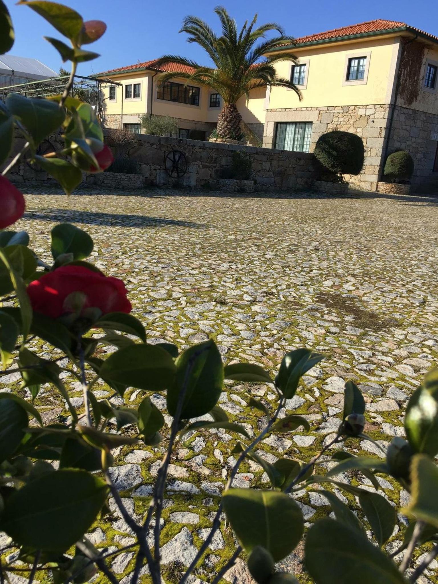 Hotel Quinta da Vinha Morta - Image 1