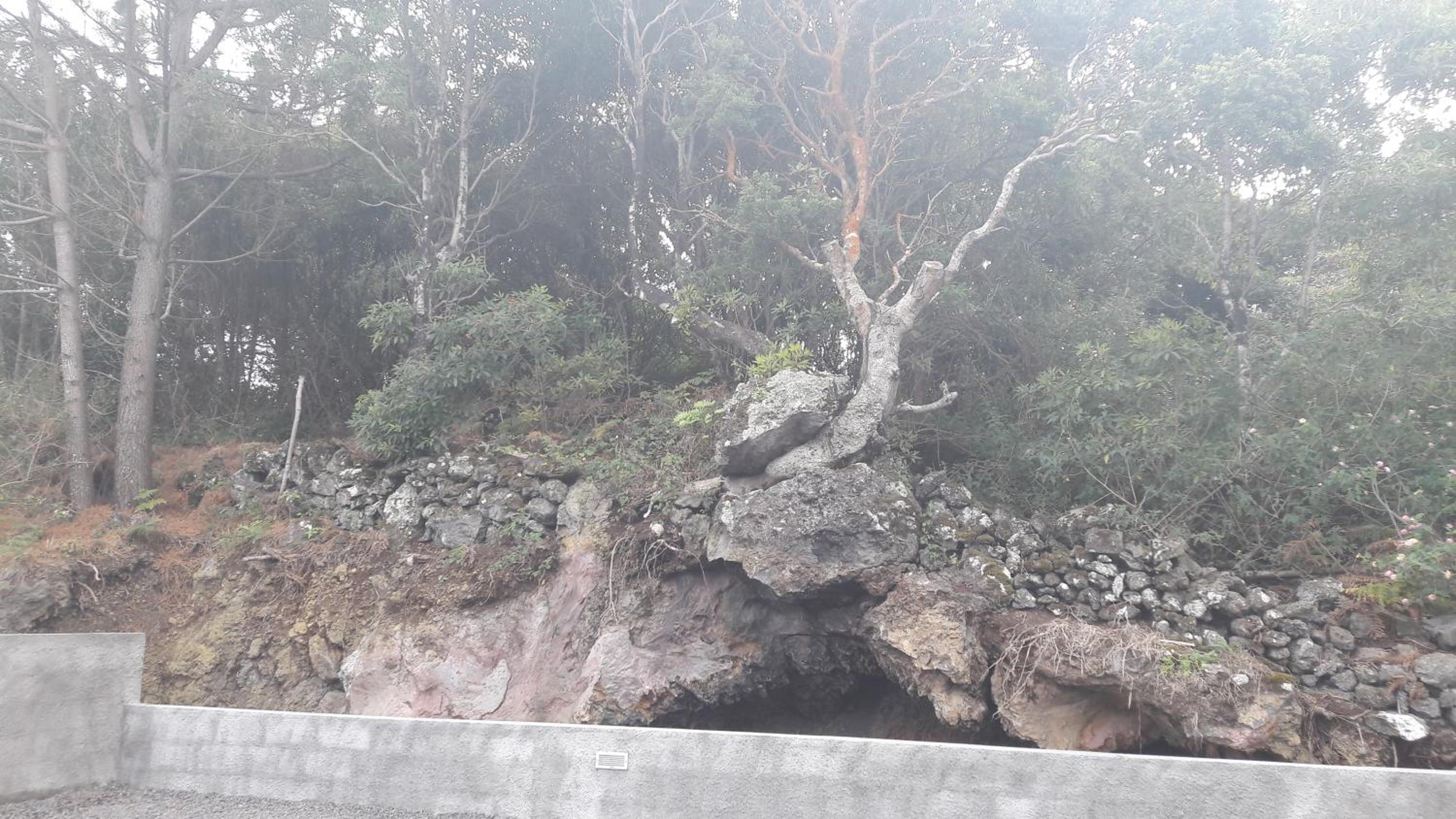 AL - BOA NOVA en Madalena